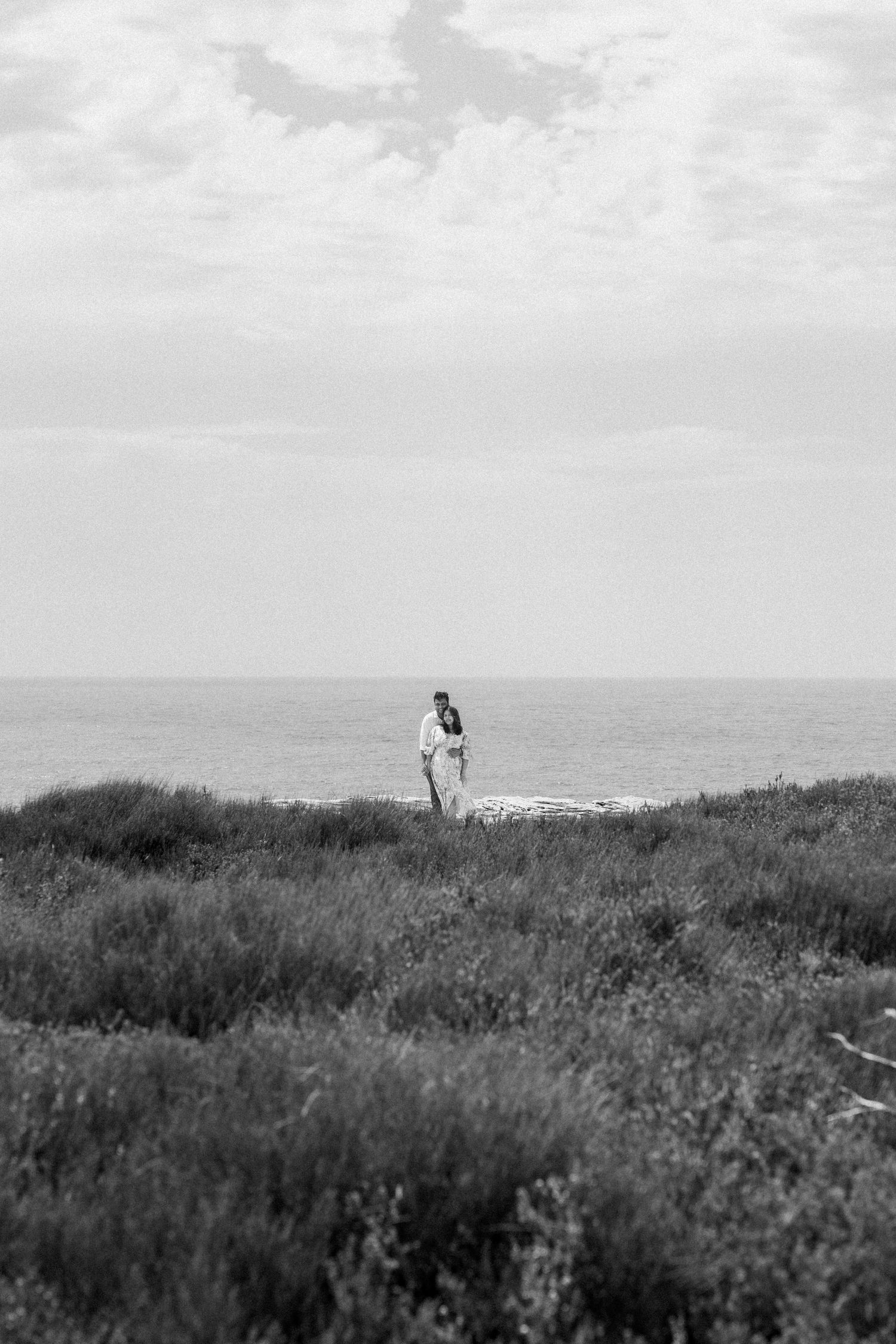 A serene black and white landscape view of coastal vegetation and ocean horizon.