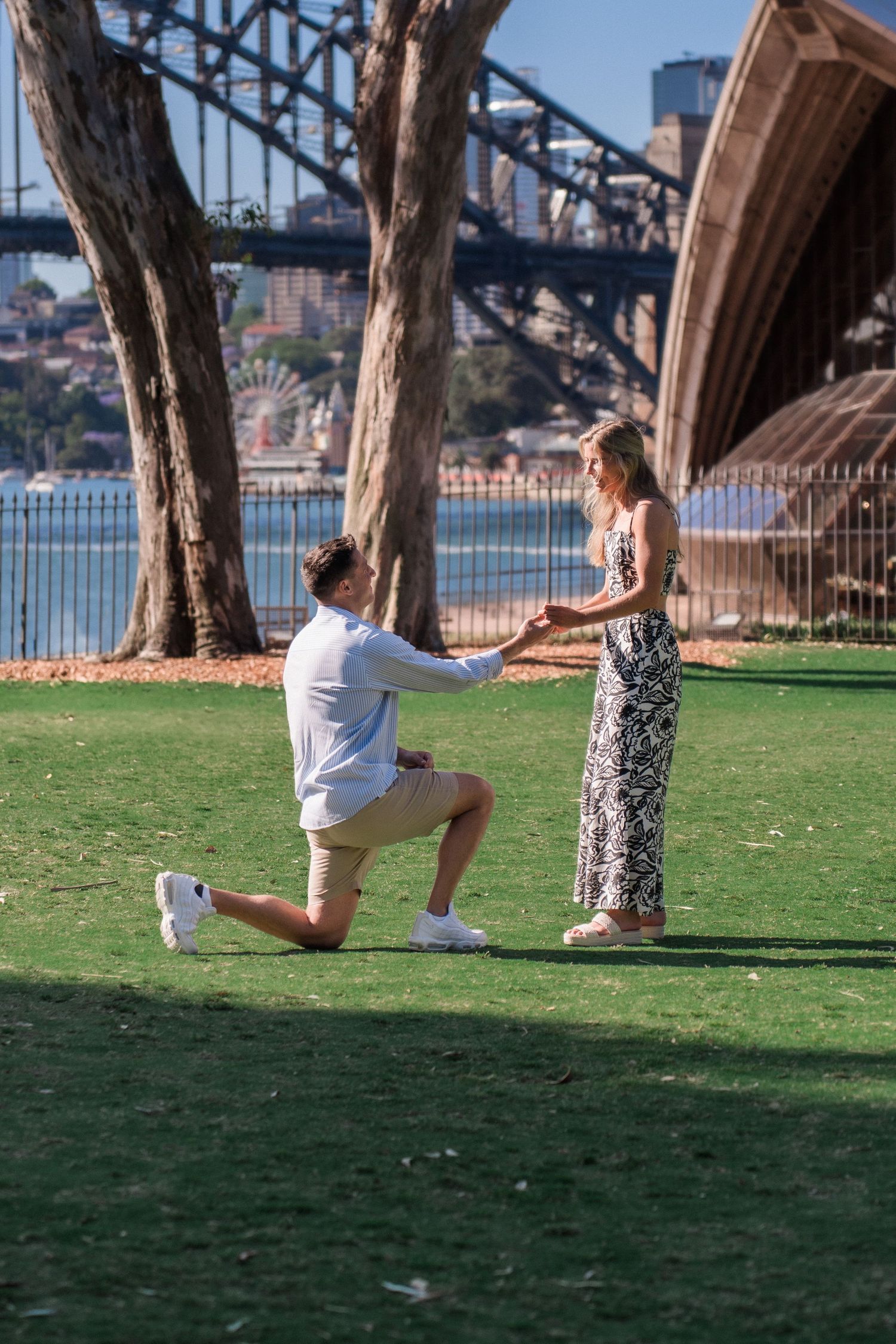 Marriage proposal sequence under trees with Sydney Harbour Bridge in background.