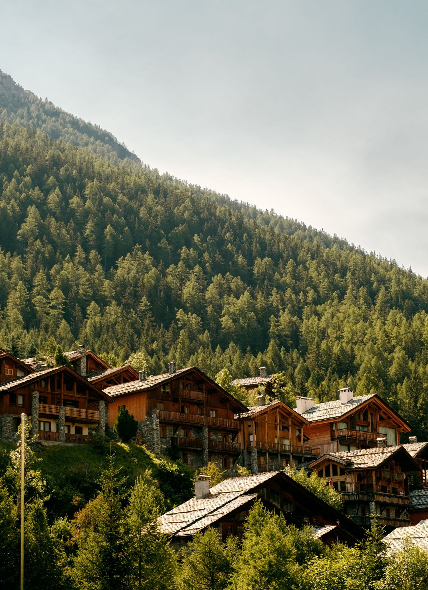 Traditional alpine chalets nestled on a forested mountainside with lush green pine trees under a hazy sky.