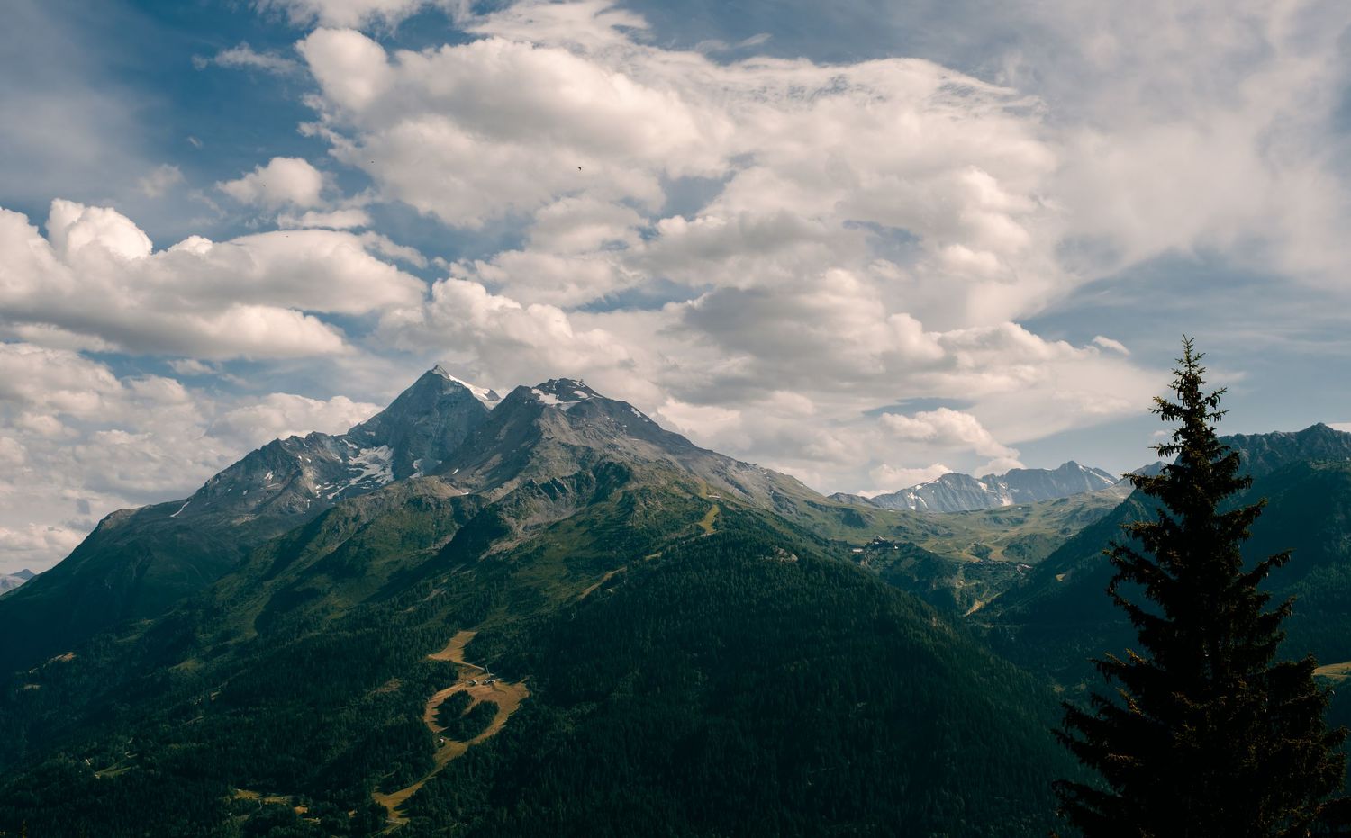 Scenic mountain landscape with lush green slopes, a winding path, evergreen tree, and dramatic clouds over rocky peaks.