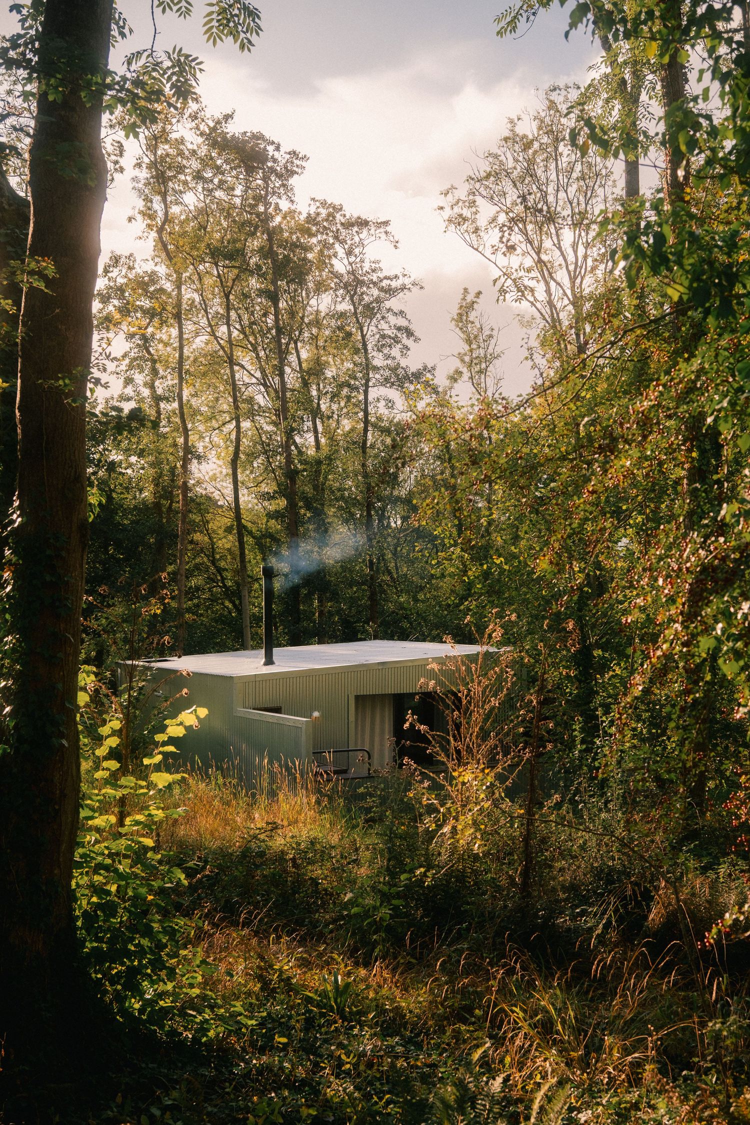 White modern building nestled among autumn trees in a serene forest setting.