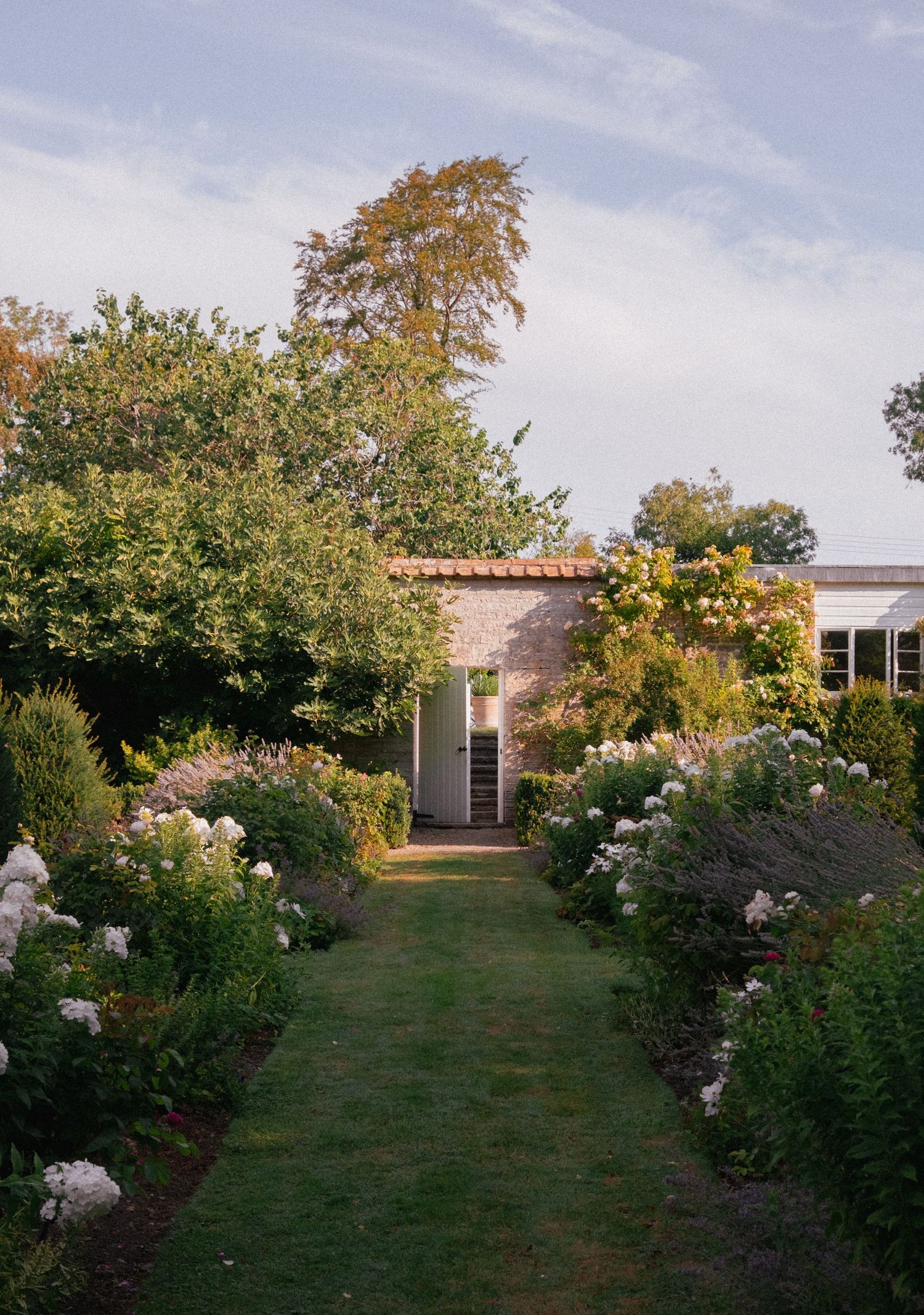 A lush garden path lined with white flowers leads to a charming brick cottage surrounded by trees.