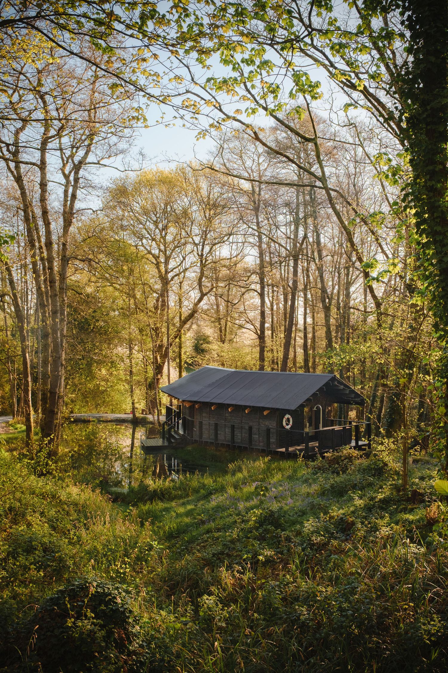 A rustic wooden cabin nestled among lush green trees in a serene forest setting, bathed in warm golden sunlight.