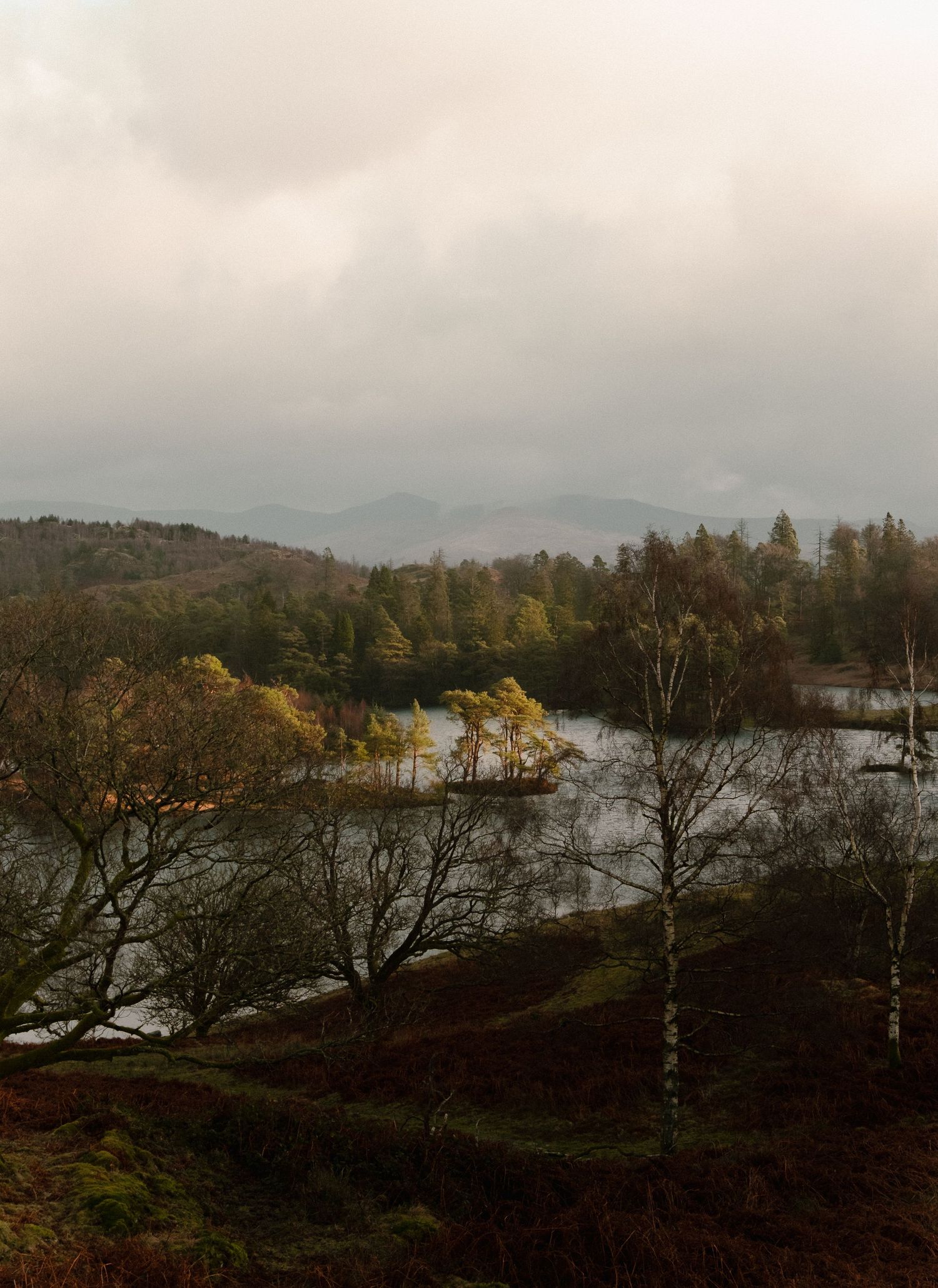 Autumn landscape overlooking a lake surrounded by mountains and trees.