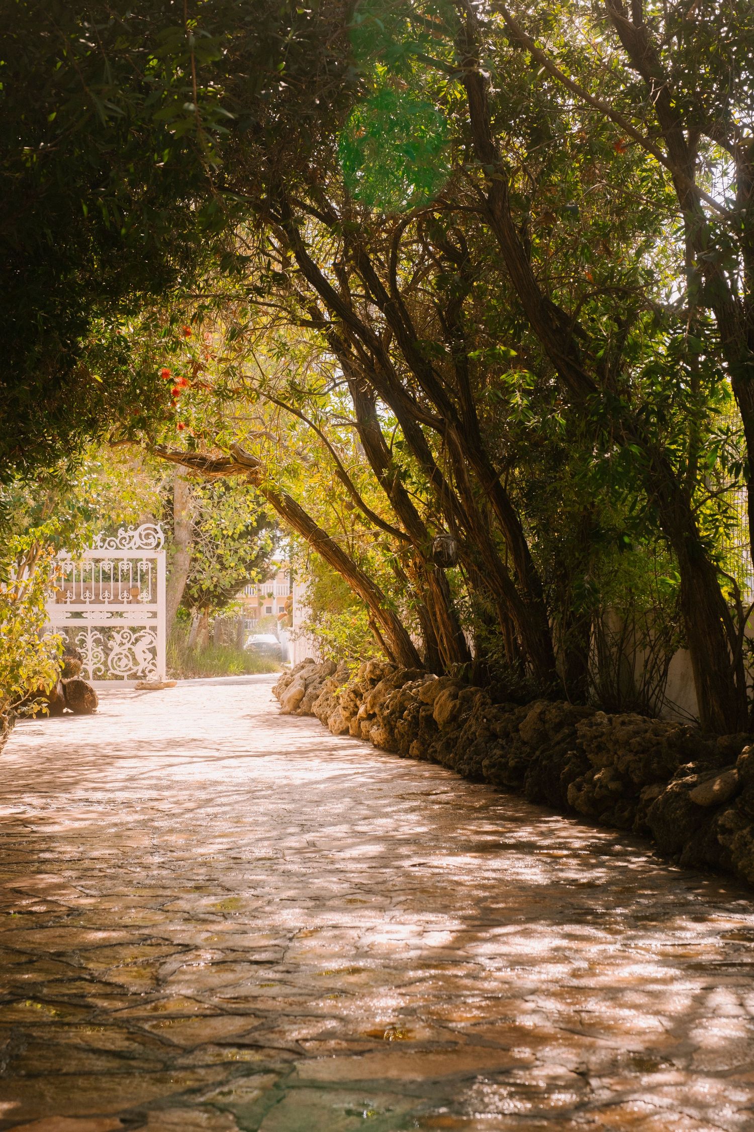 entrance driveway to Inea Yoga in corfu