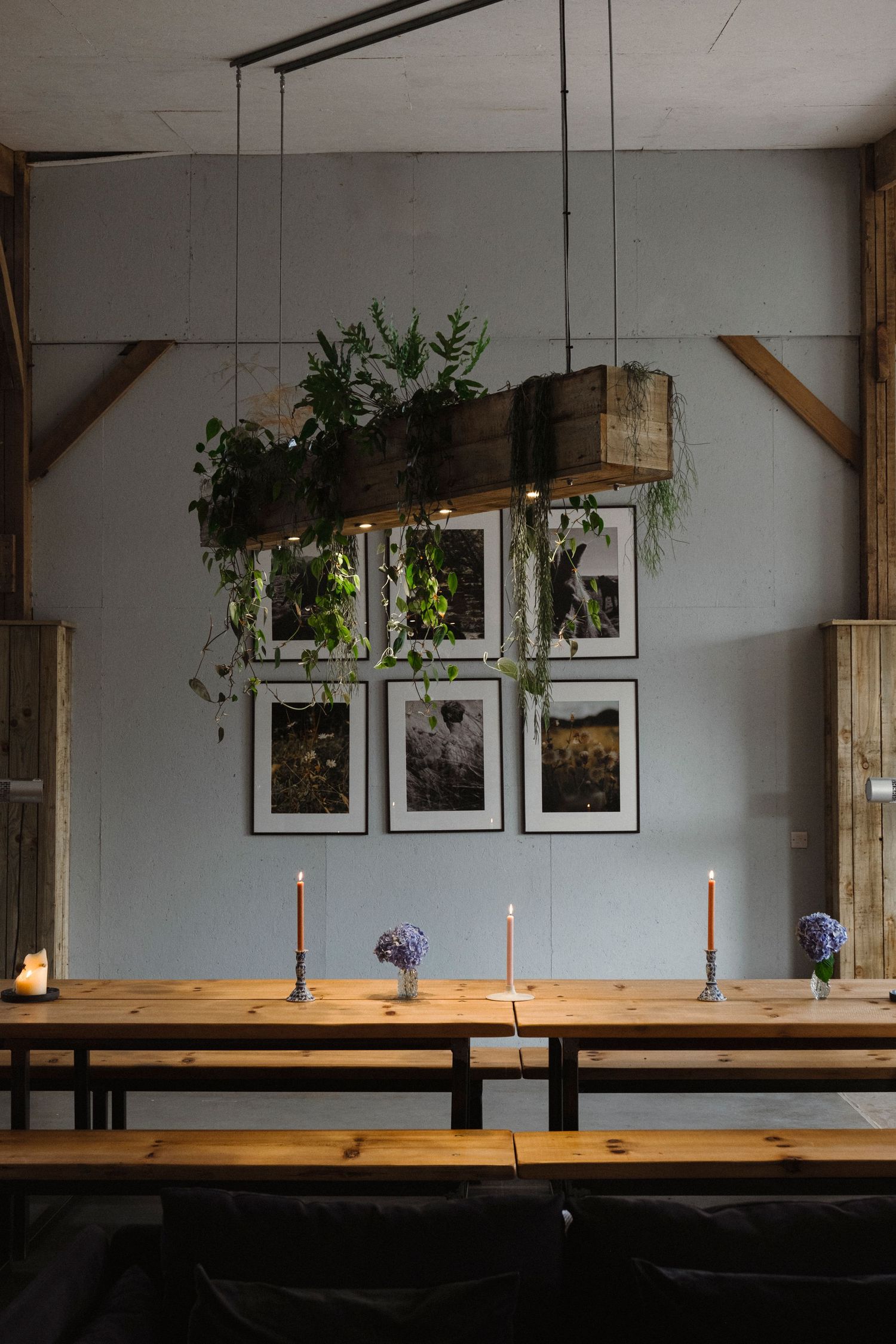 Long wooden dining table with candles and hanging plants beneath framed artwork in rustic room.