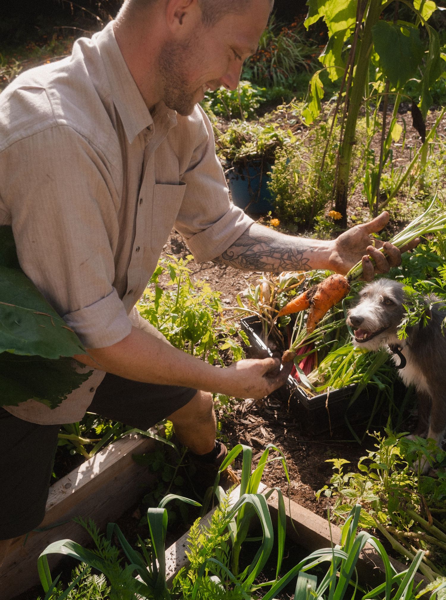 Gardener tending to plants in lush garden setting.
