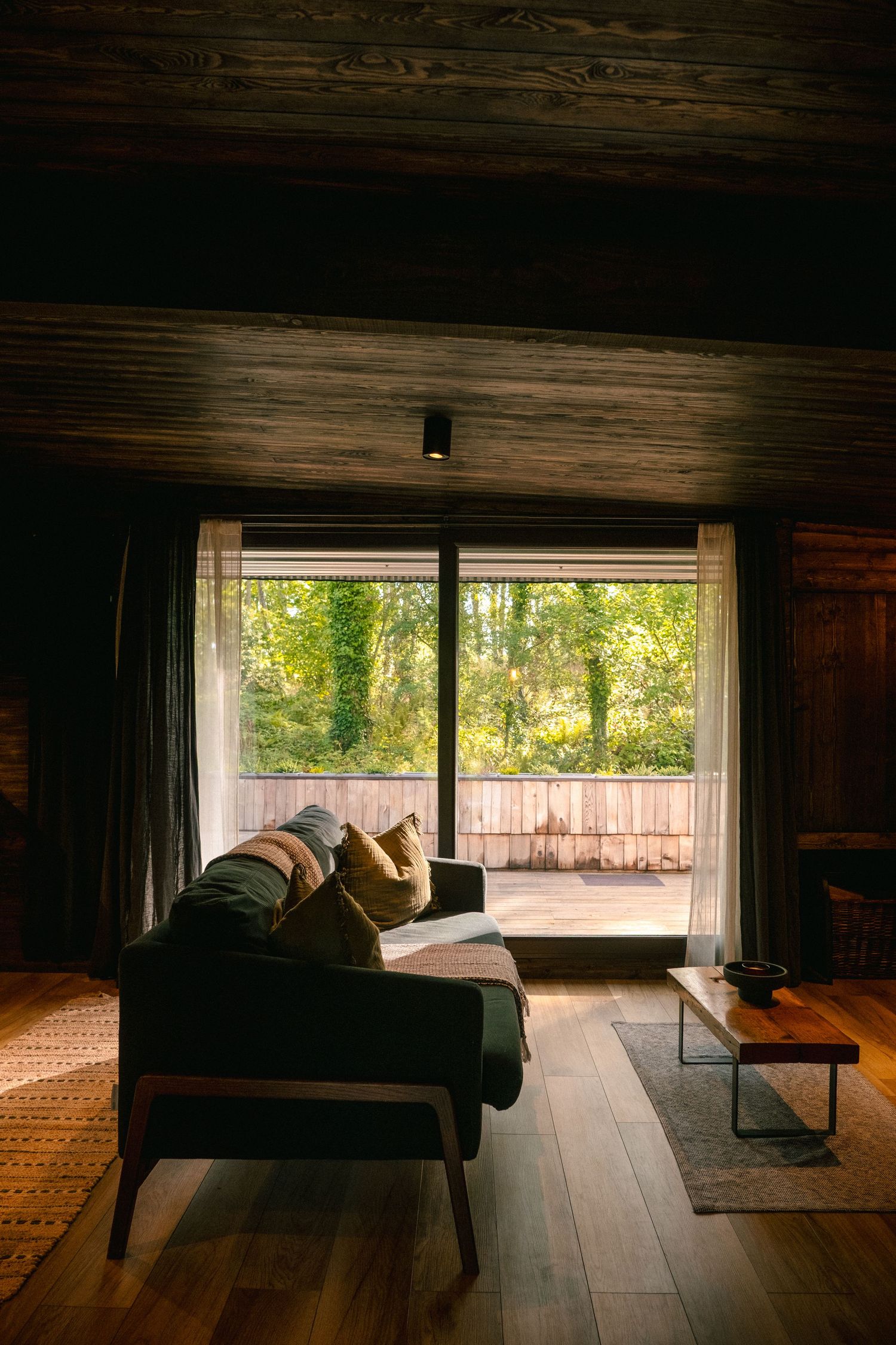 Minimalist dark wood interior space with large windows overlooking a natural landscape.