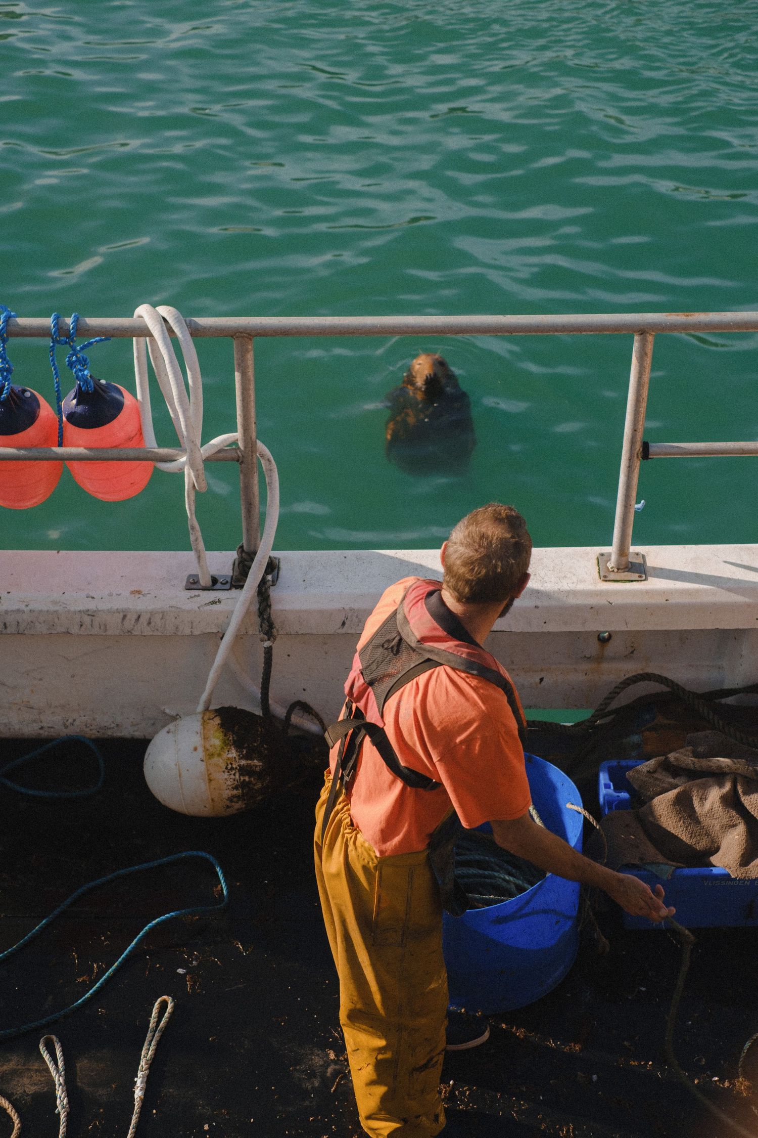 Fisherman being watched by seal on his boat in cornwall