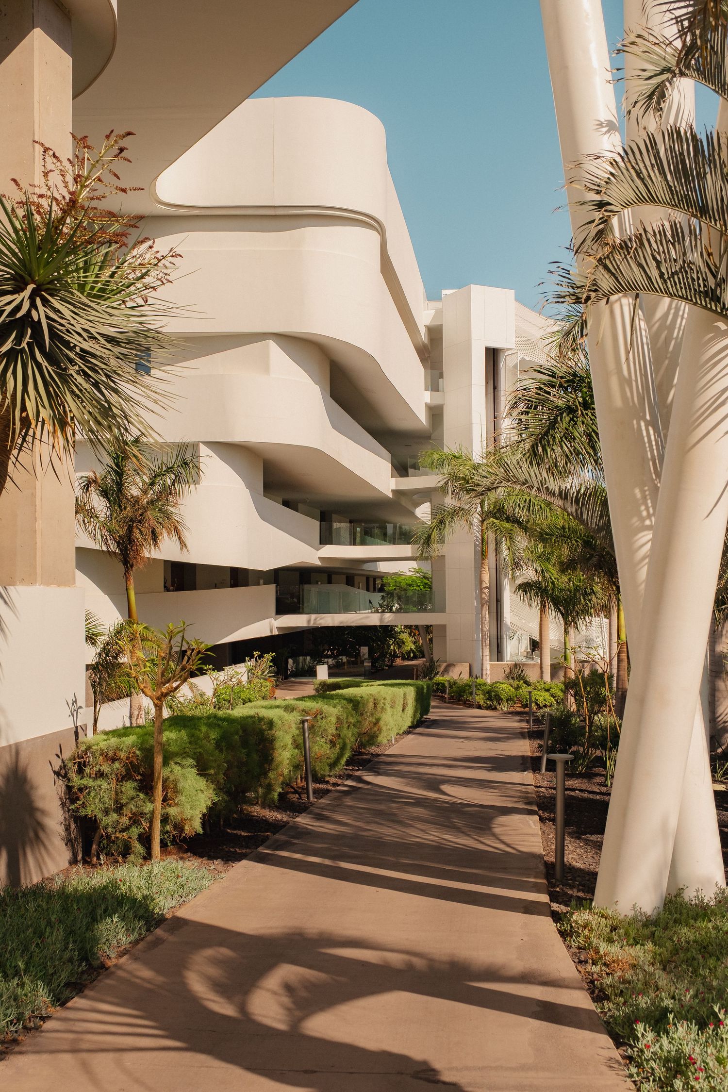Modern white curved building with lush palm trees and manicured hedges lining a sunny walkway.