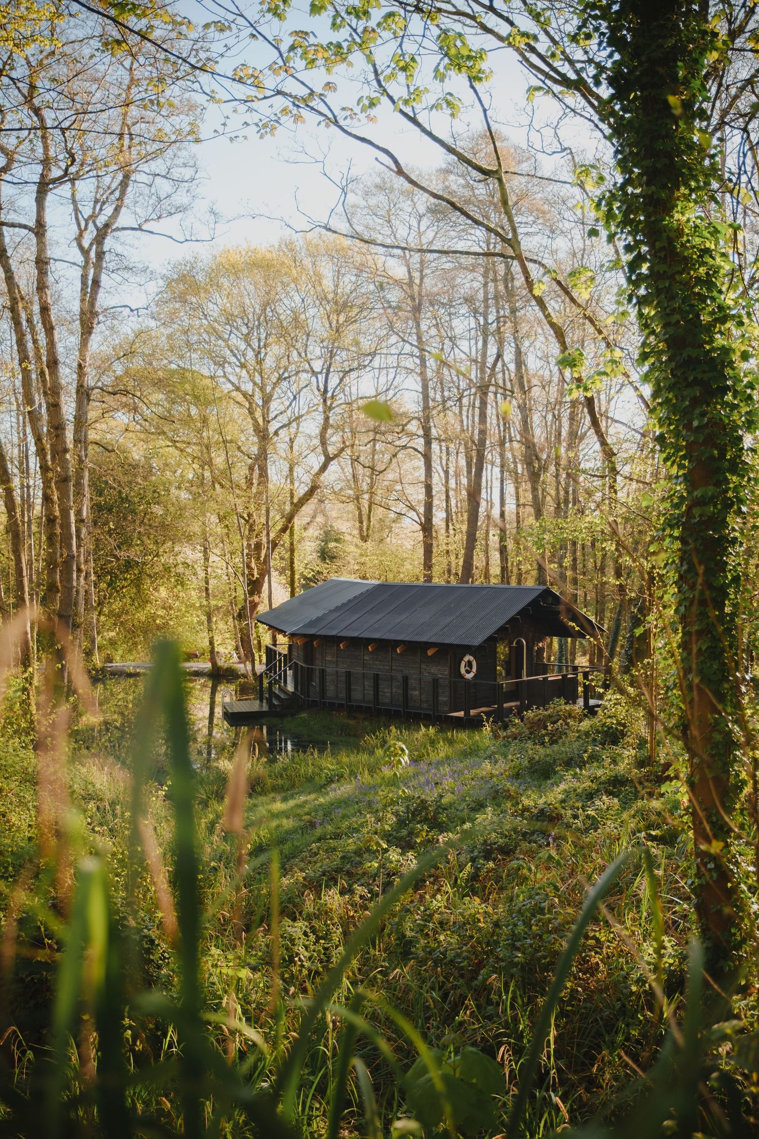 A rustic wooden cabin nestled in a lush green forest, surrounded by tall trees and wildflowers in soft golden light.