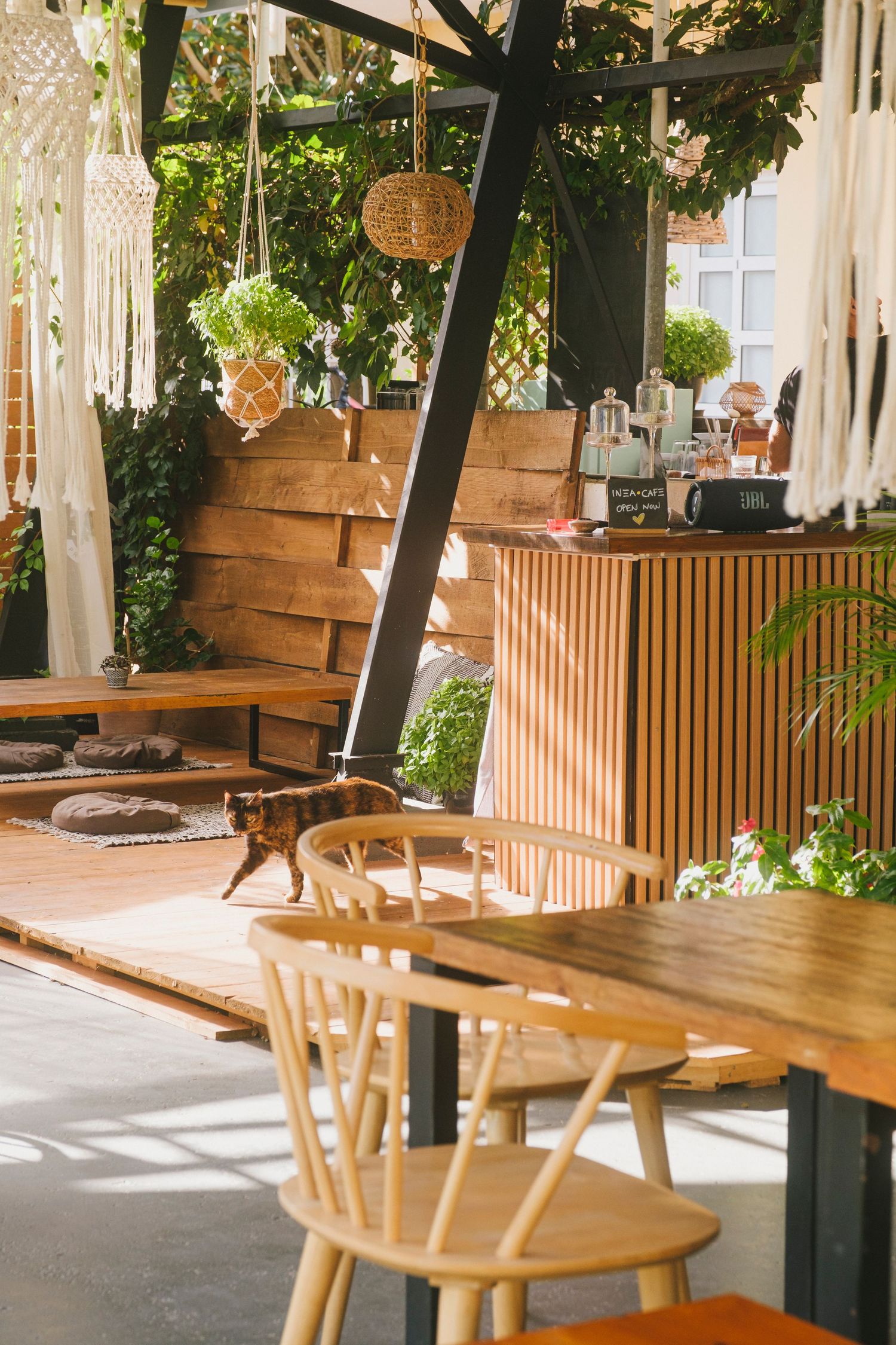 Rustic outdoor cafe seating area with wooden benches and tables under a shaded pergola with hanging plants and decor.