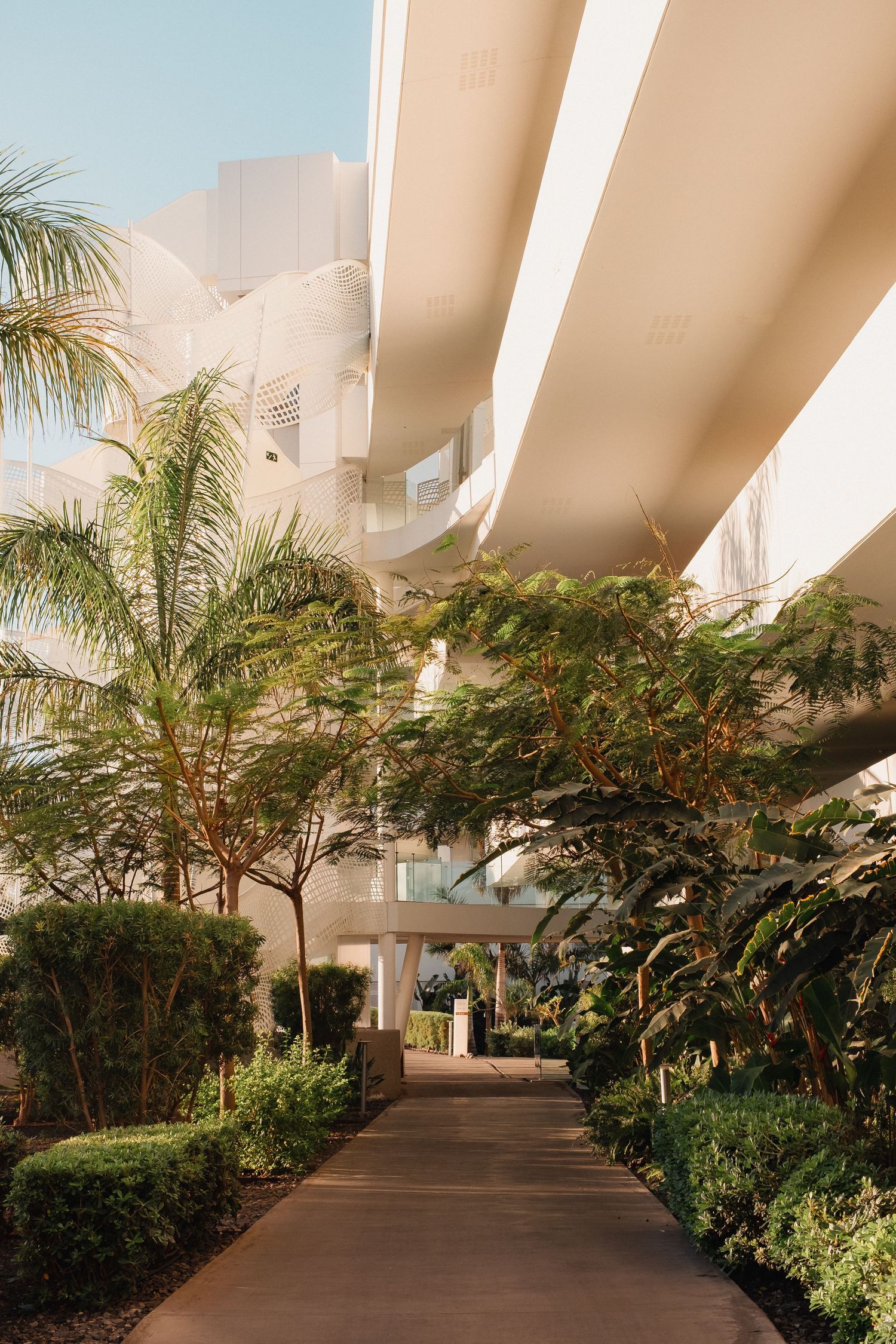 A serene pathway lined with lush tropical trees and manicured shrubs leads through a modern white resort building.