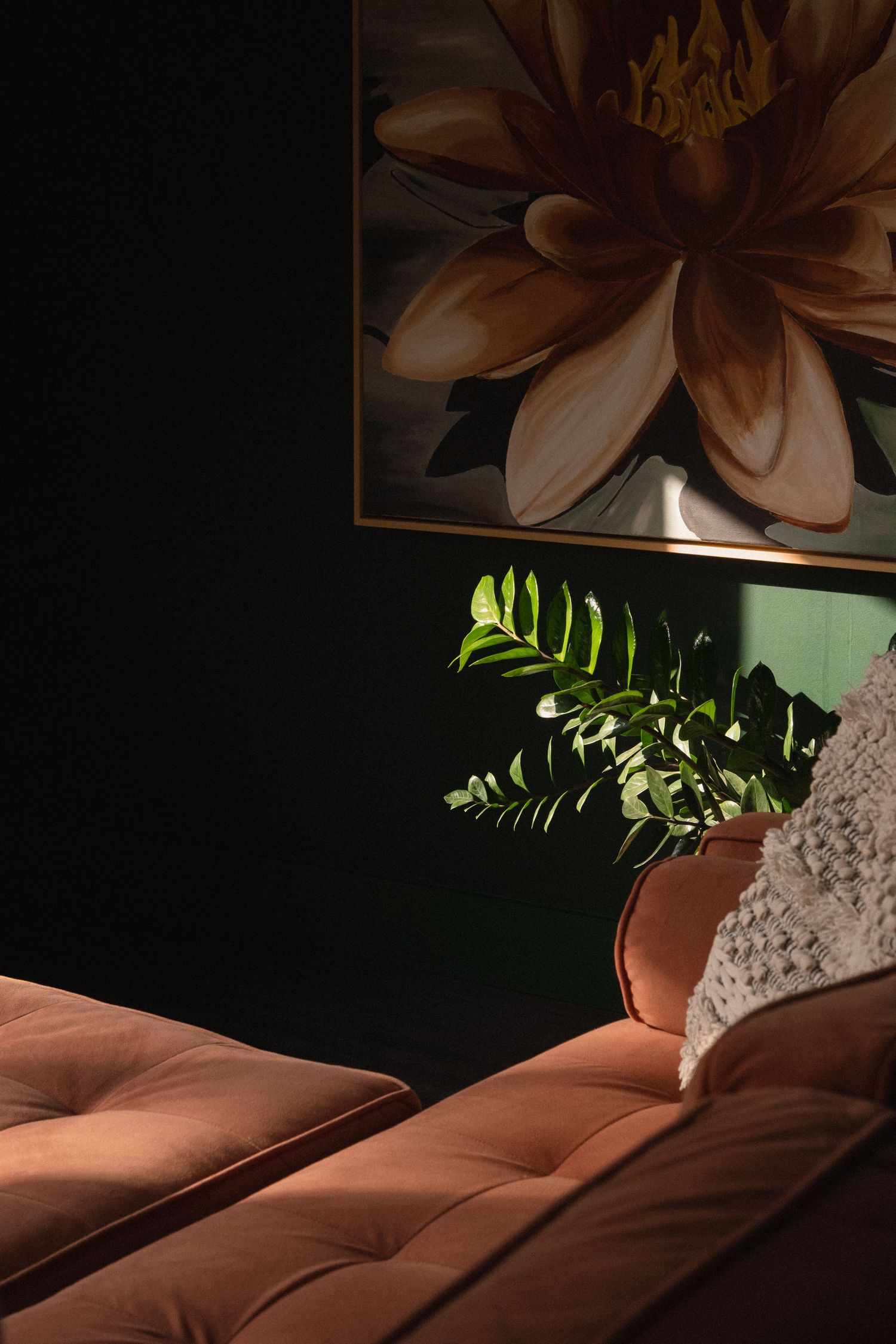 Warm sunlight falls on brown leather couch with green plant in minimalist setting.