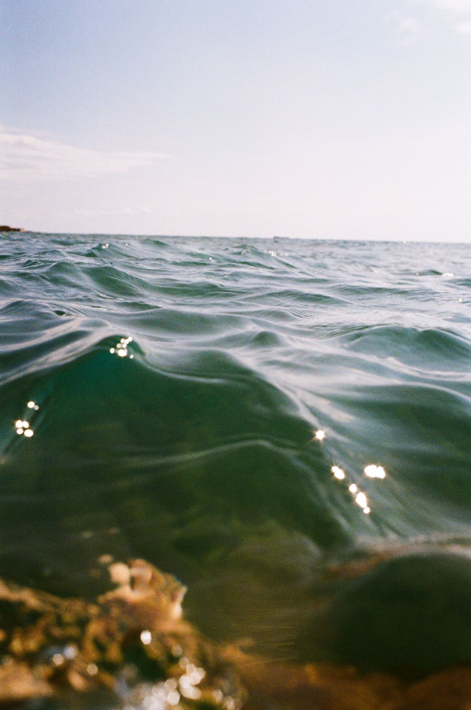 underwater photography shot on the nikonos 35mm camera