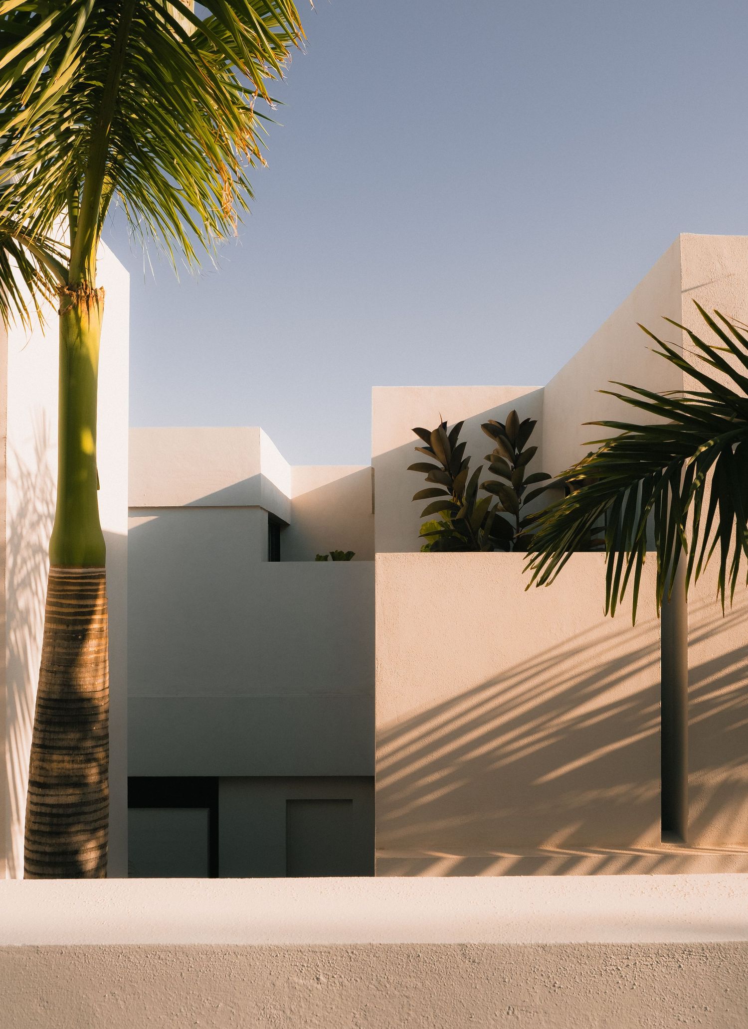 Minimalist white stucco building with geometric architecture, palm trees casting shadows in warm golden sunlight.