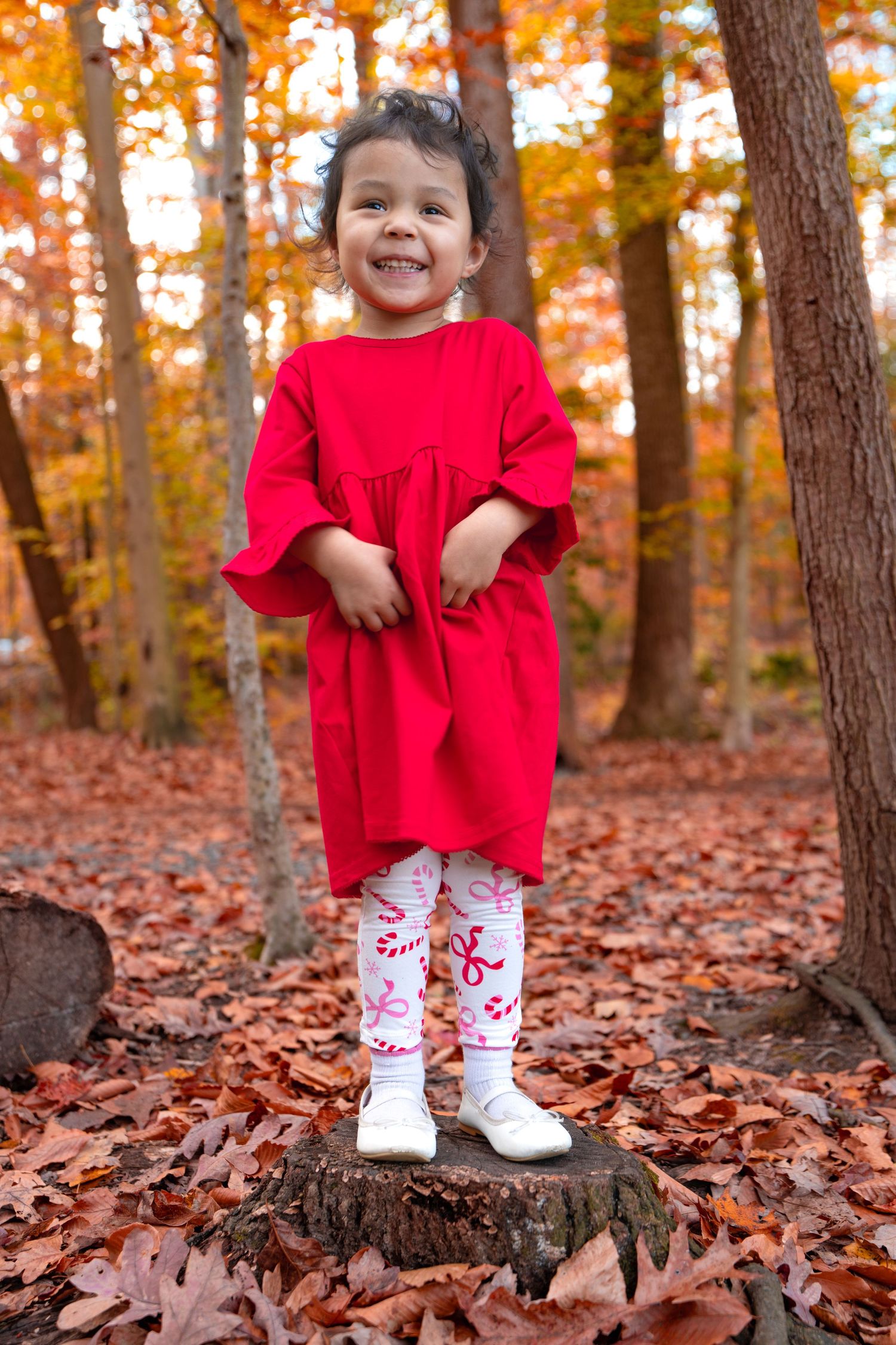 Smiling toddler standing on a tree stump surrounded by colorful autumn leaves in a wooded park.