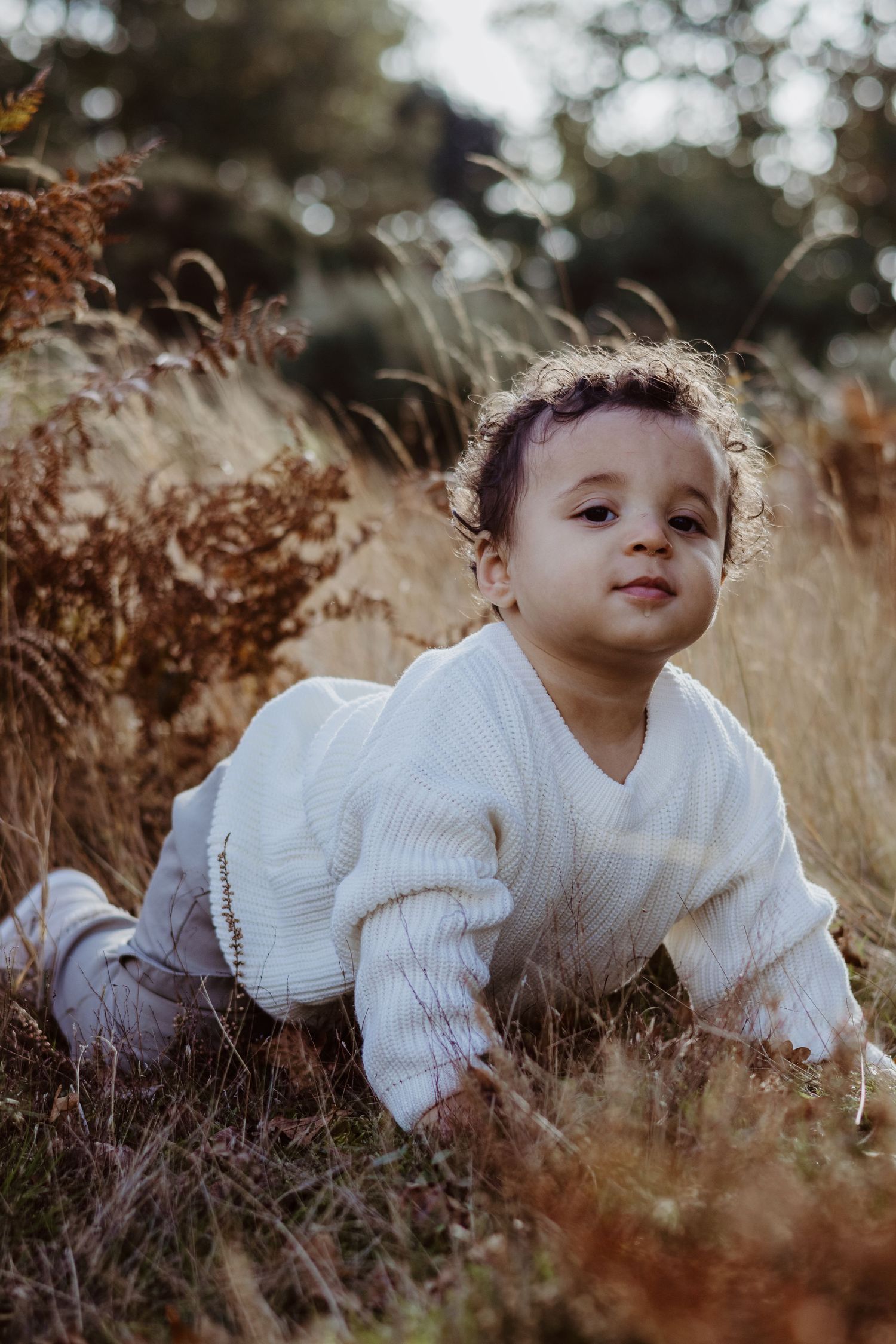 A toddler in a white sweater crawls through tall autumn grass during a golden hour photoshoot.