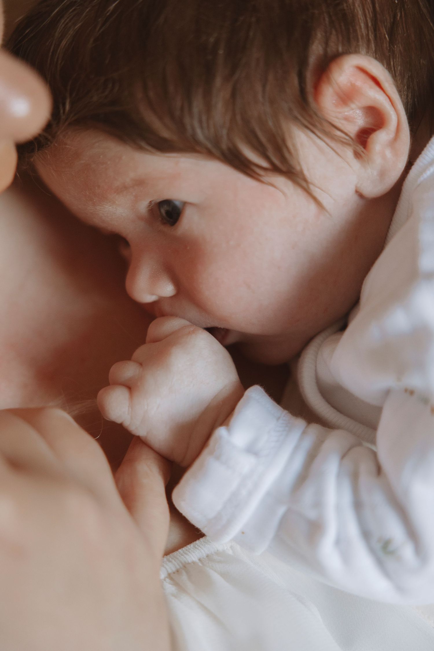 Close-up of a peaceful newborn baby in white onesie sucking their fist while being held by a parent.