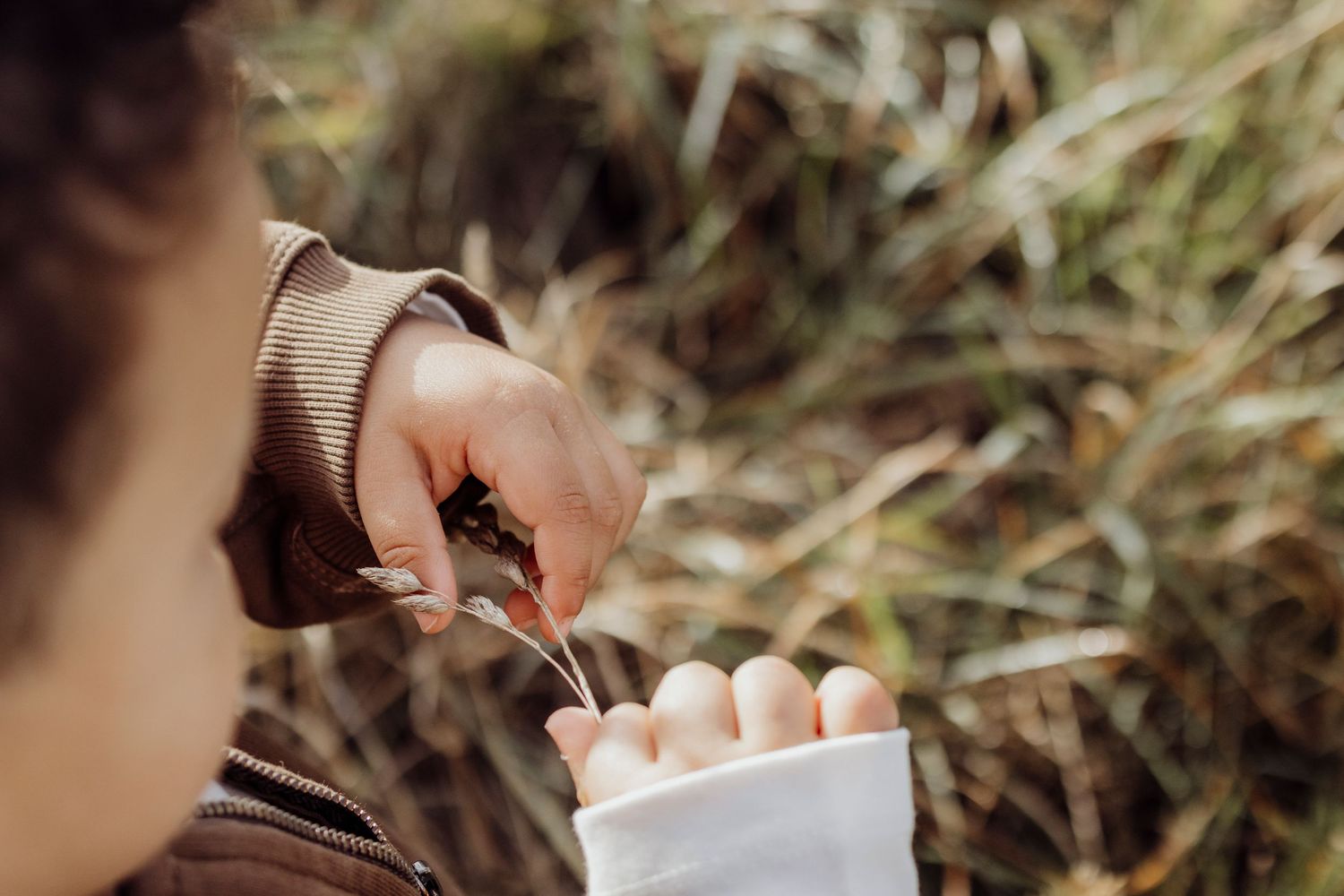 Close-up shot of hands holding wooden toys against a natural outdoor background.