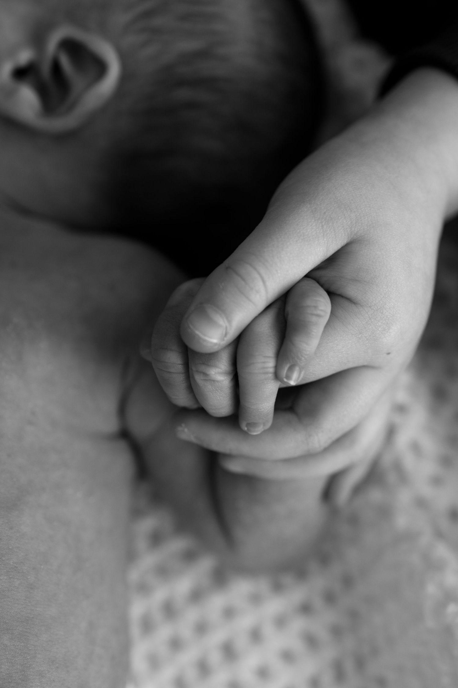 Close-up black and white photo series showing small hands touching and exploring a polka dot textured surface.