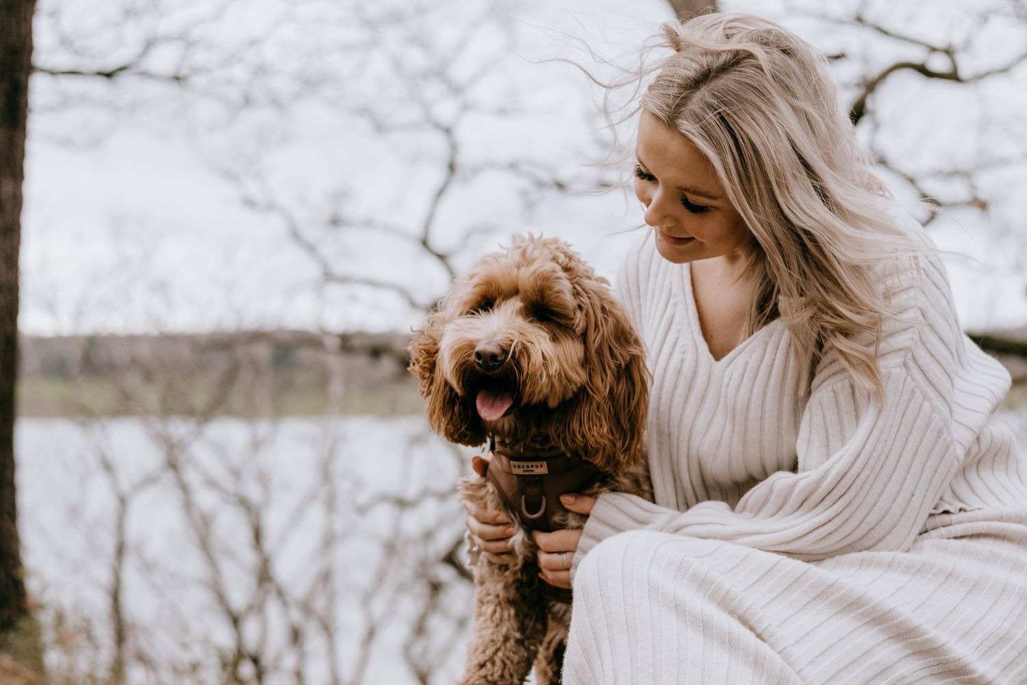 A person in a white sweater dress sits outdoors with their happy brown goldendoodle dog on a winter day.