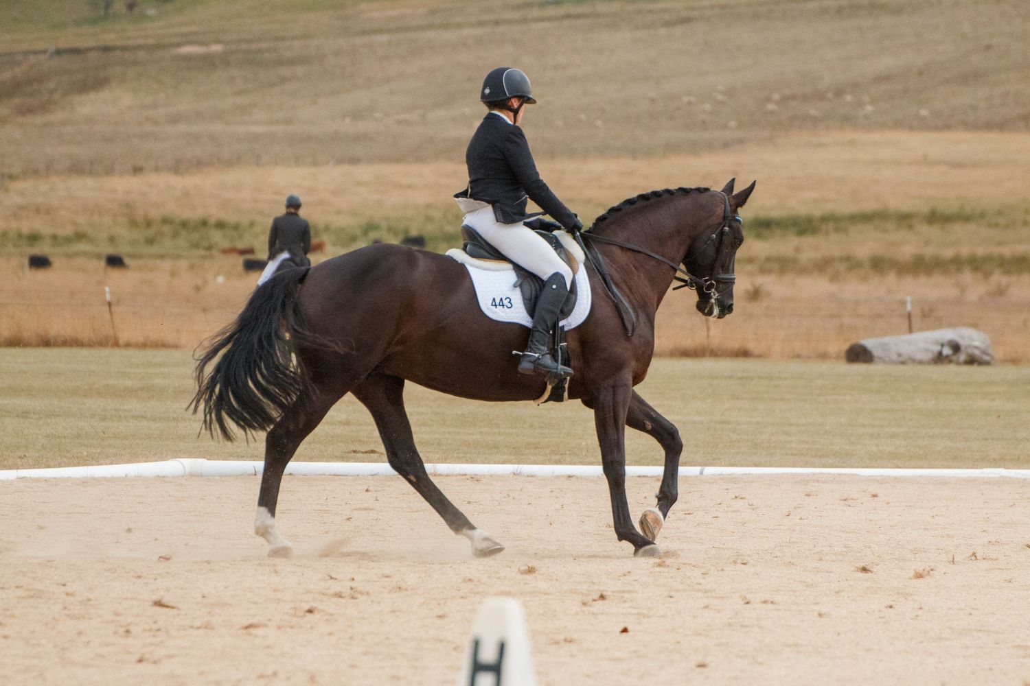 Dressage horses perform precise movements in a sandy competition arena.