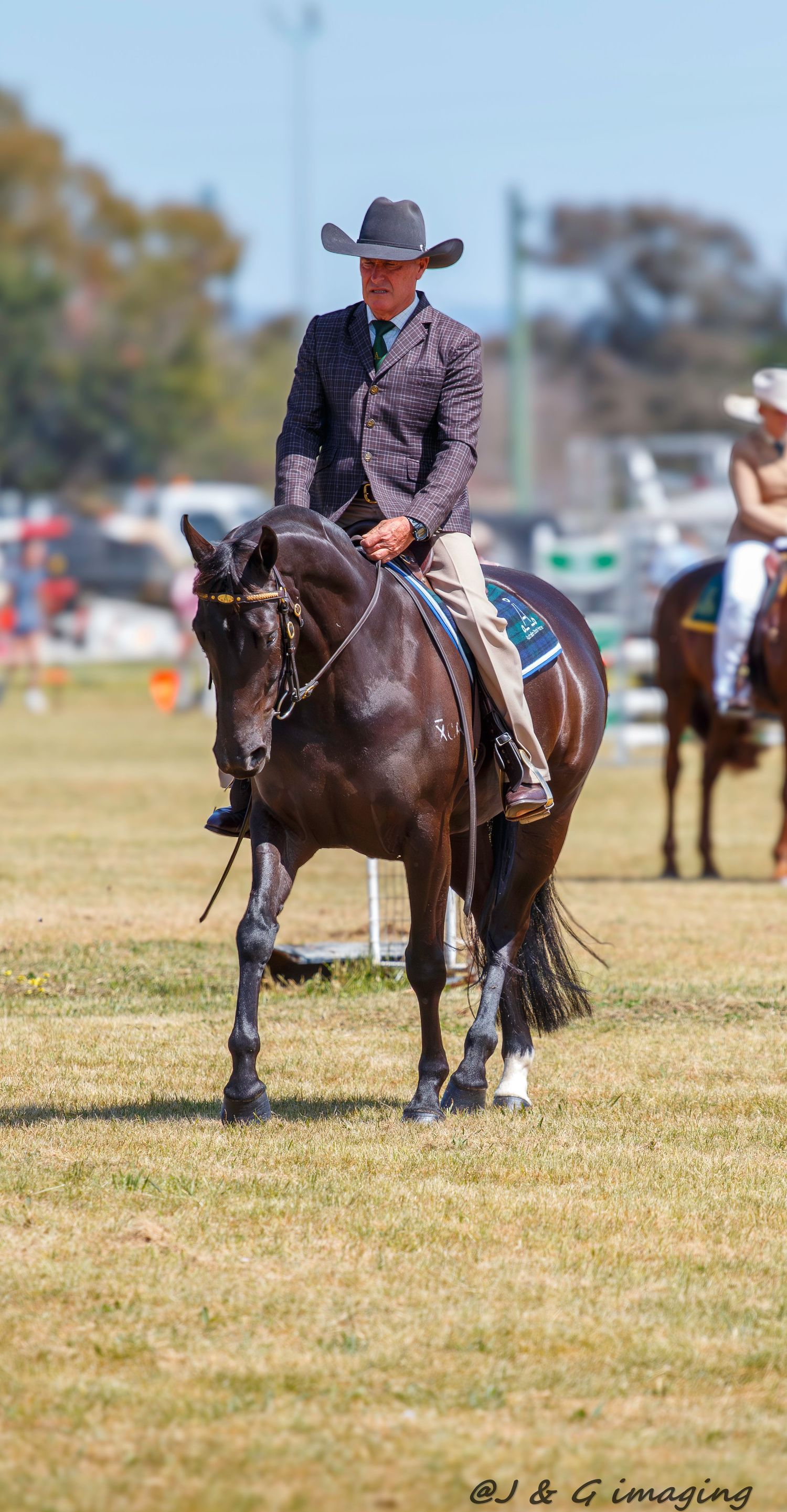 Dark brown horse being ridden in a western style competition on a grassy field.