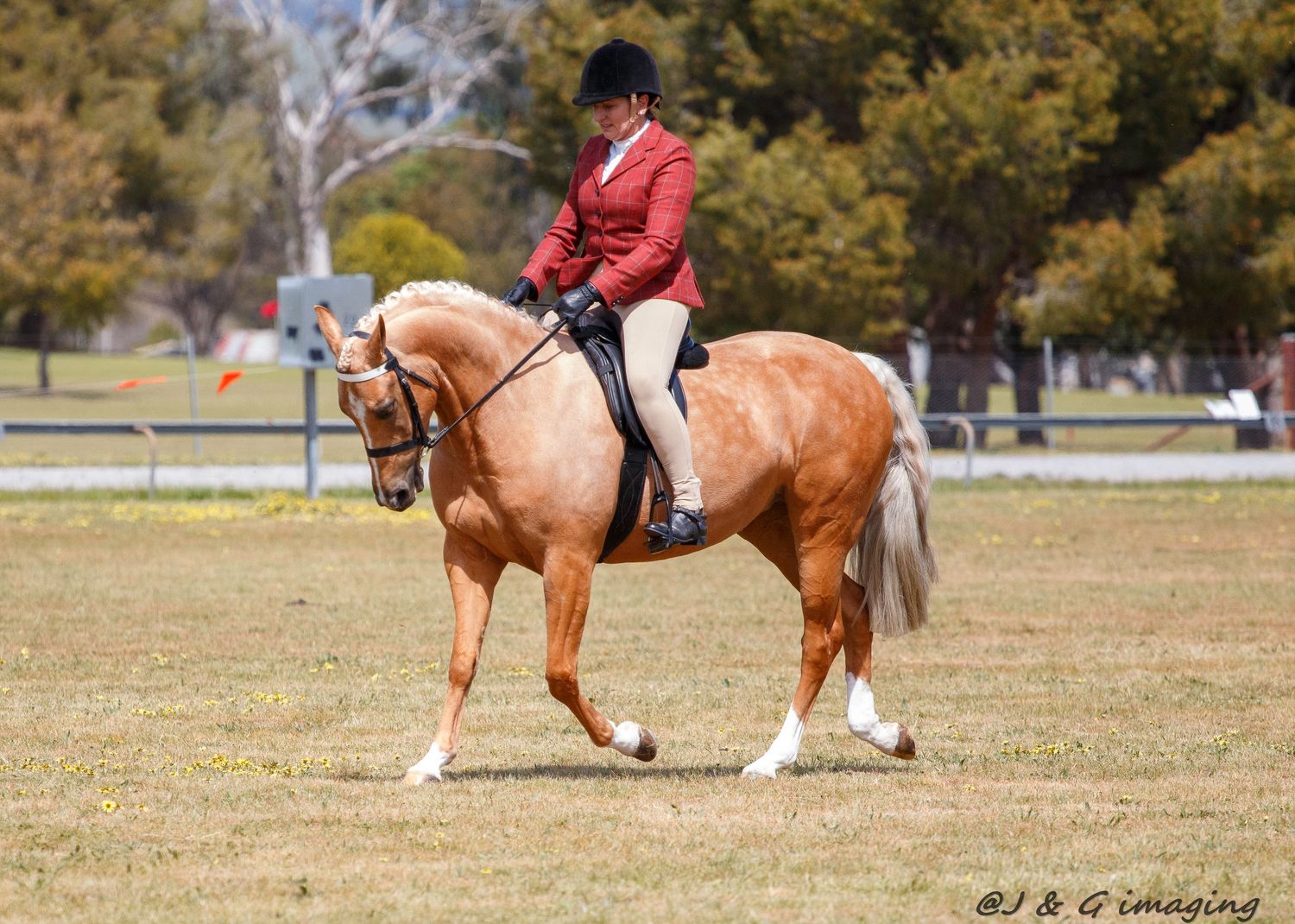 Horses and riders perform dressage movements on a grassy field.