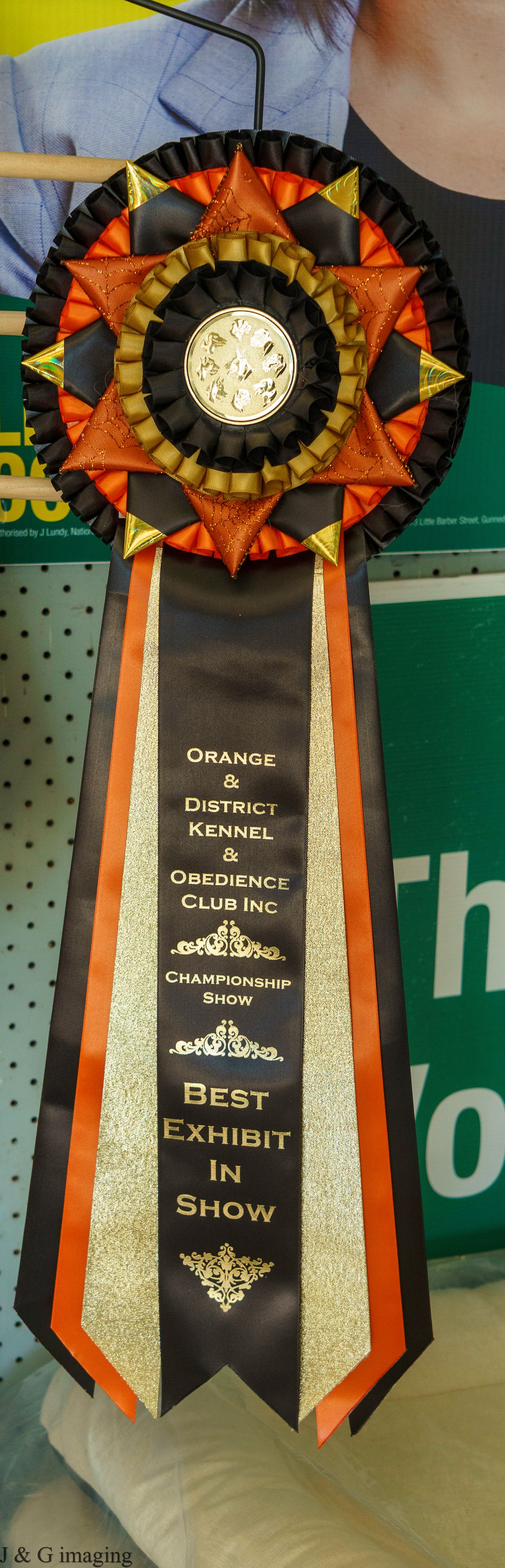 Orange and black championship rosette ribbon for Best Exhibit from Orange District Kennel Club.