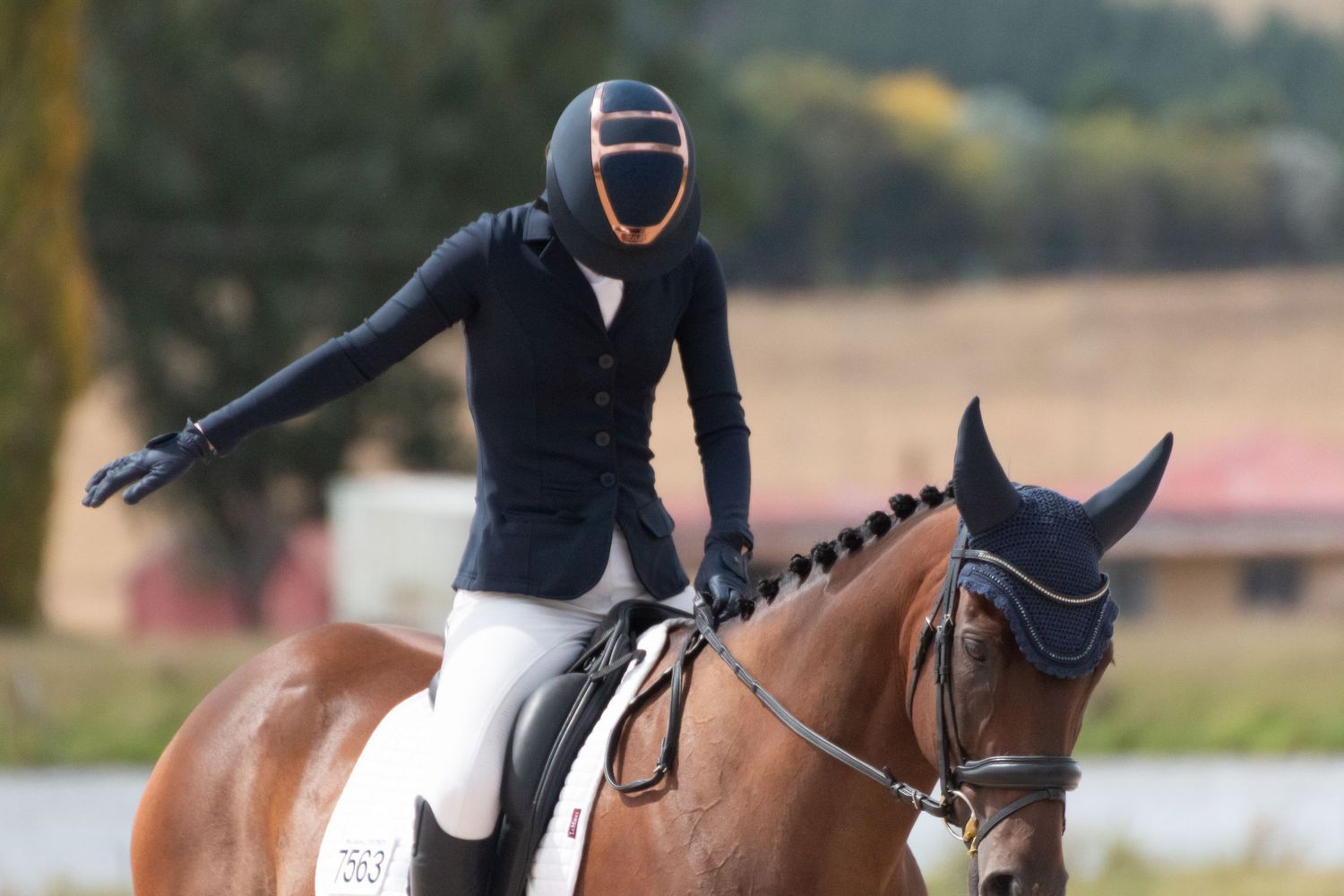 Equestrians compete in formal dressage competition on a sunny afternoon.