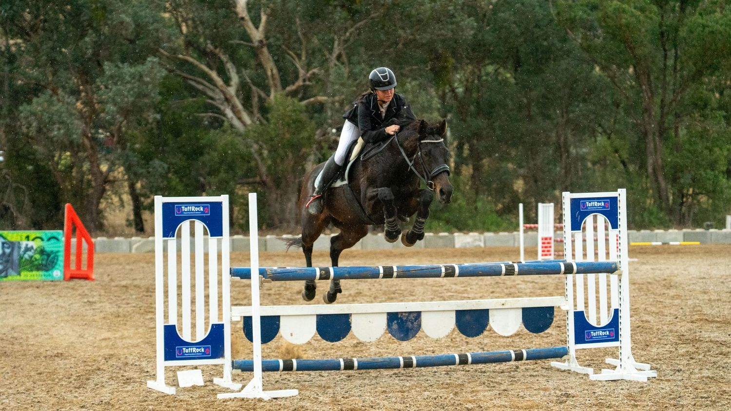 Horse and rider navigating a series of white jumping obstacles on an outdoor equestrian course.