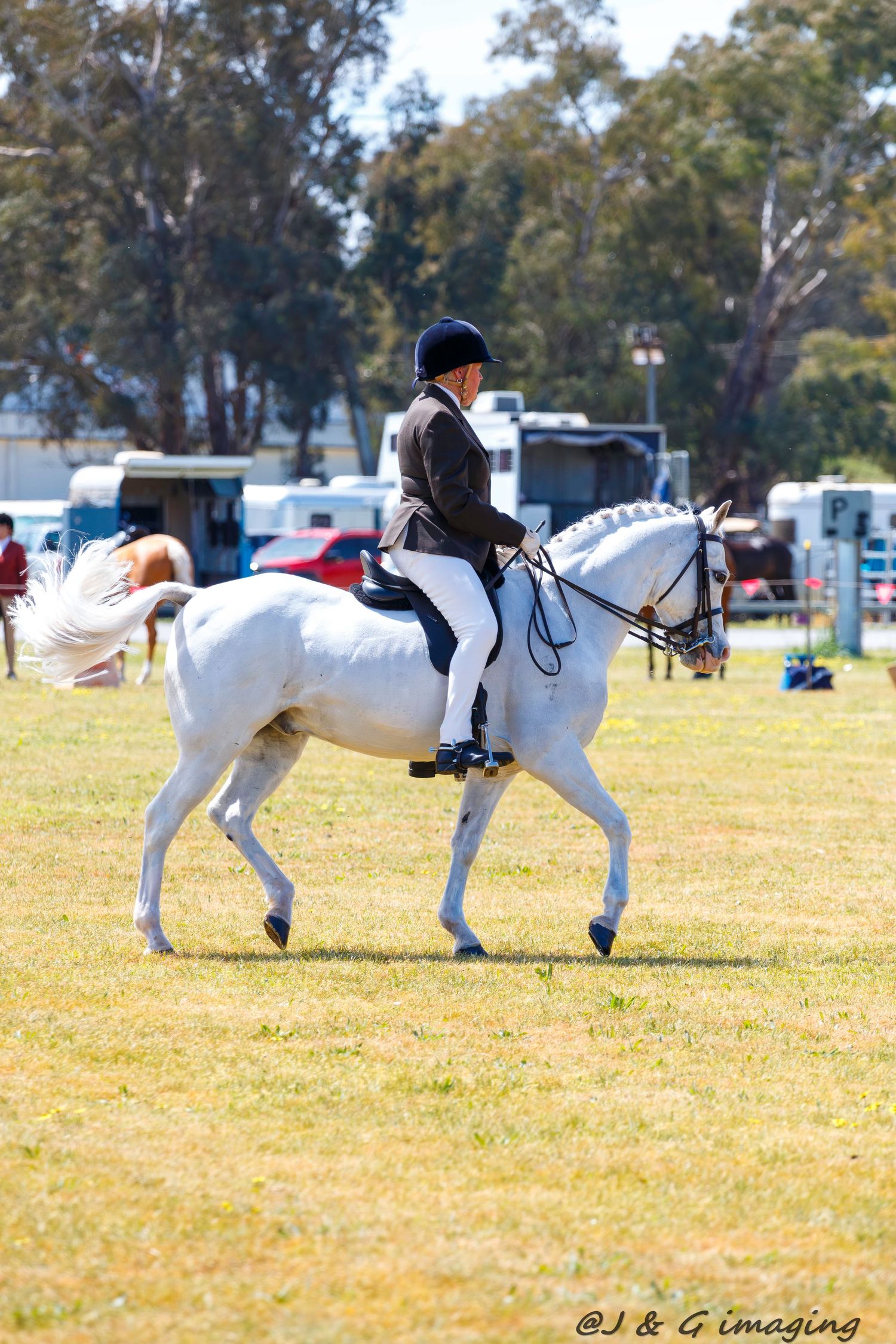 White horse performs dressage movements in sequence across a sunny field.