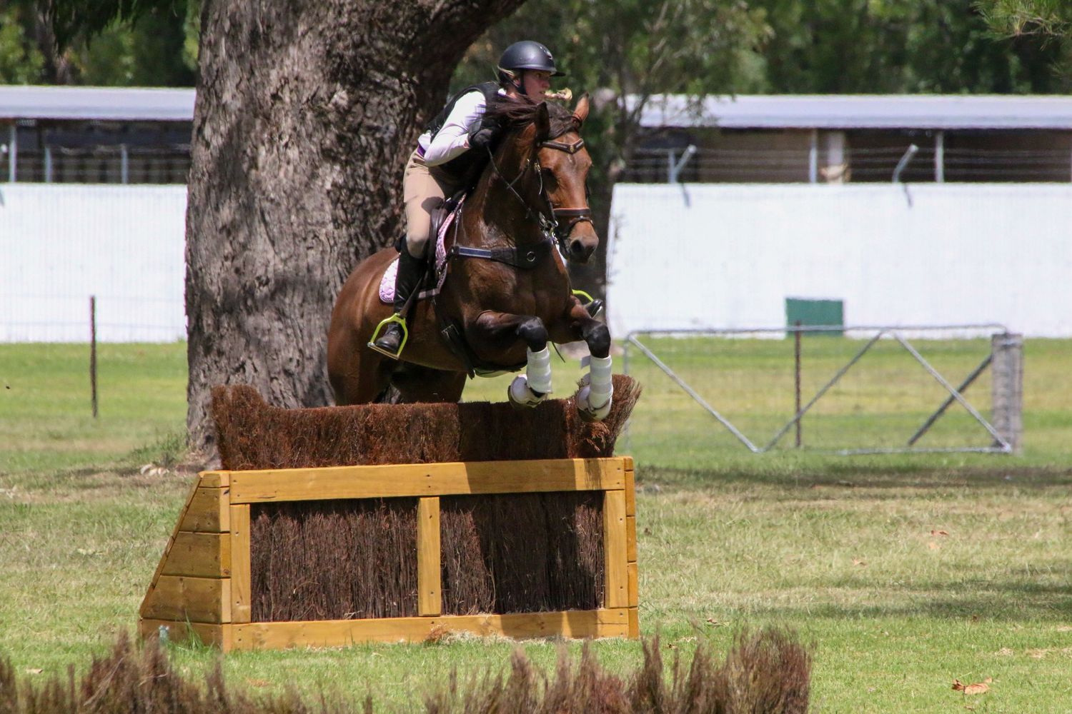 Equestrian competitor clearing a wooden jump during cross country event.