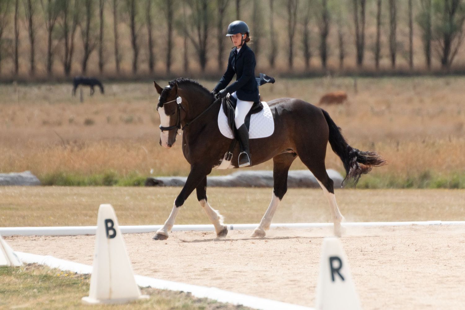 Equestrian competition showing multiple horses performing dressage tests in a sandy arena.