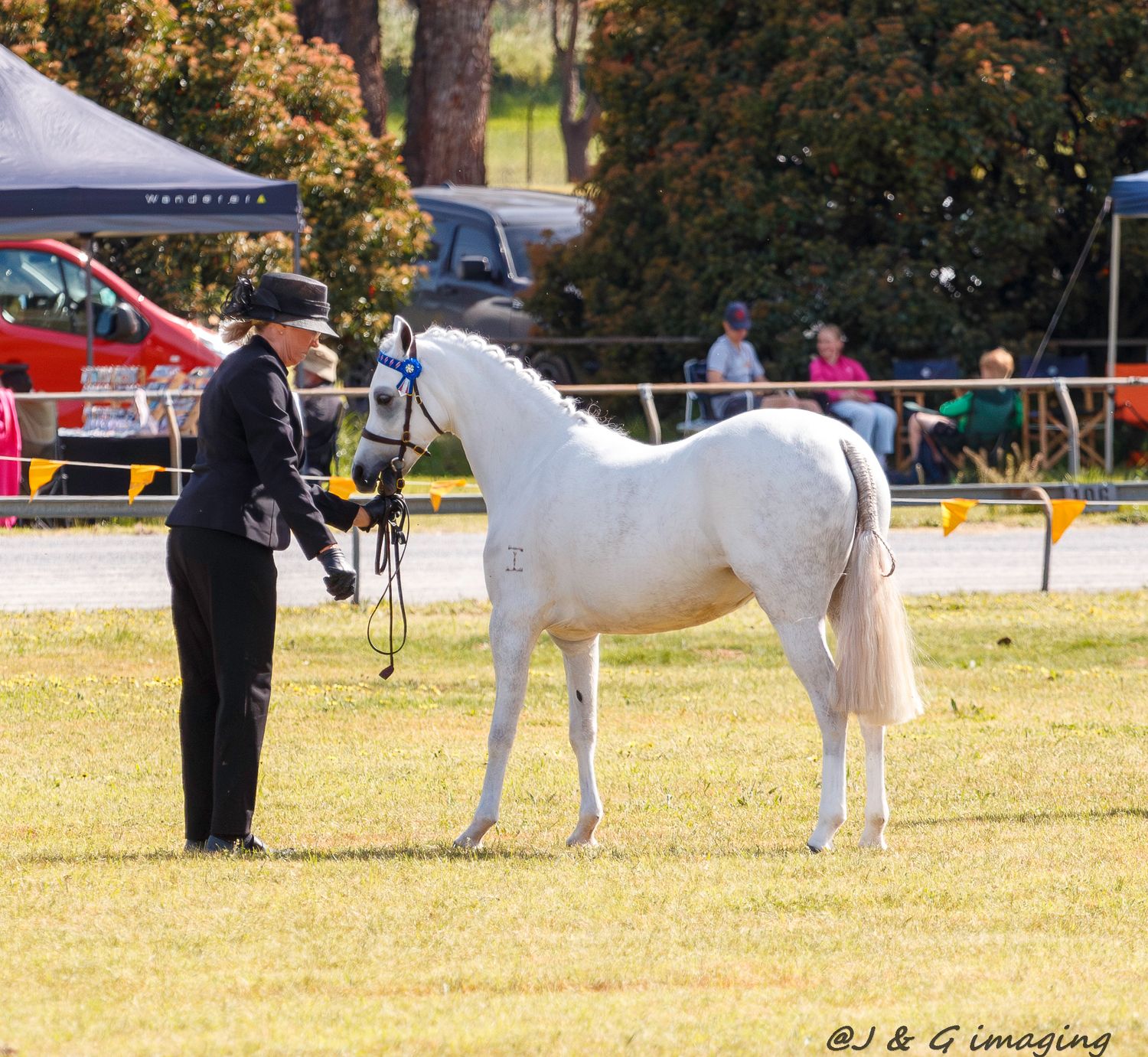White horses stand with handlers in a line at an outdoor equestrian show.