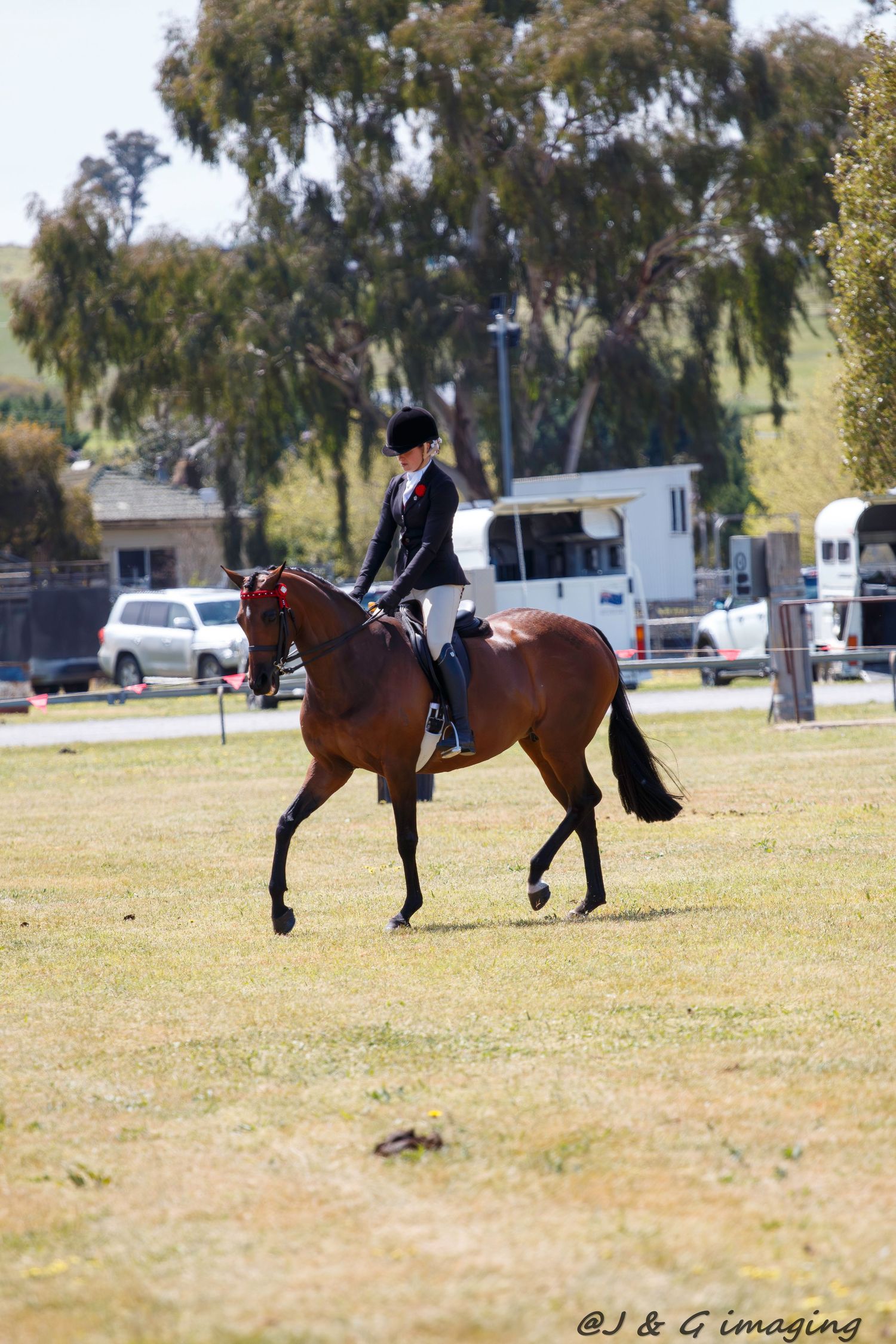 Horses trot across a grassy field at an outdoor equestrian event.