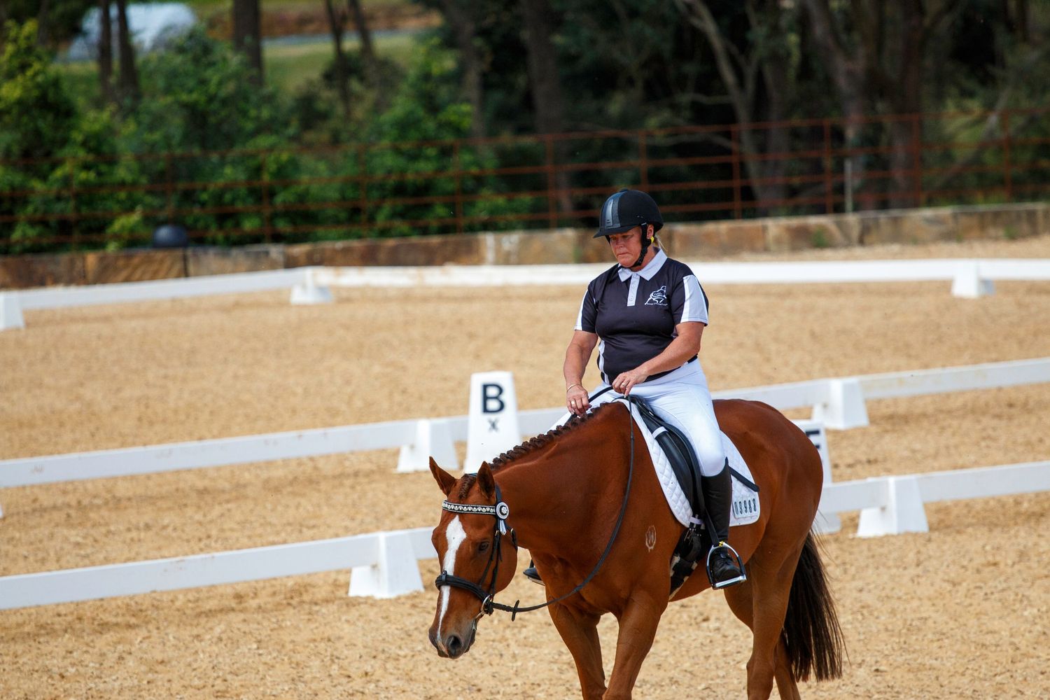 Riders guide their horses through dressage patterns on a sunny day.