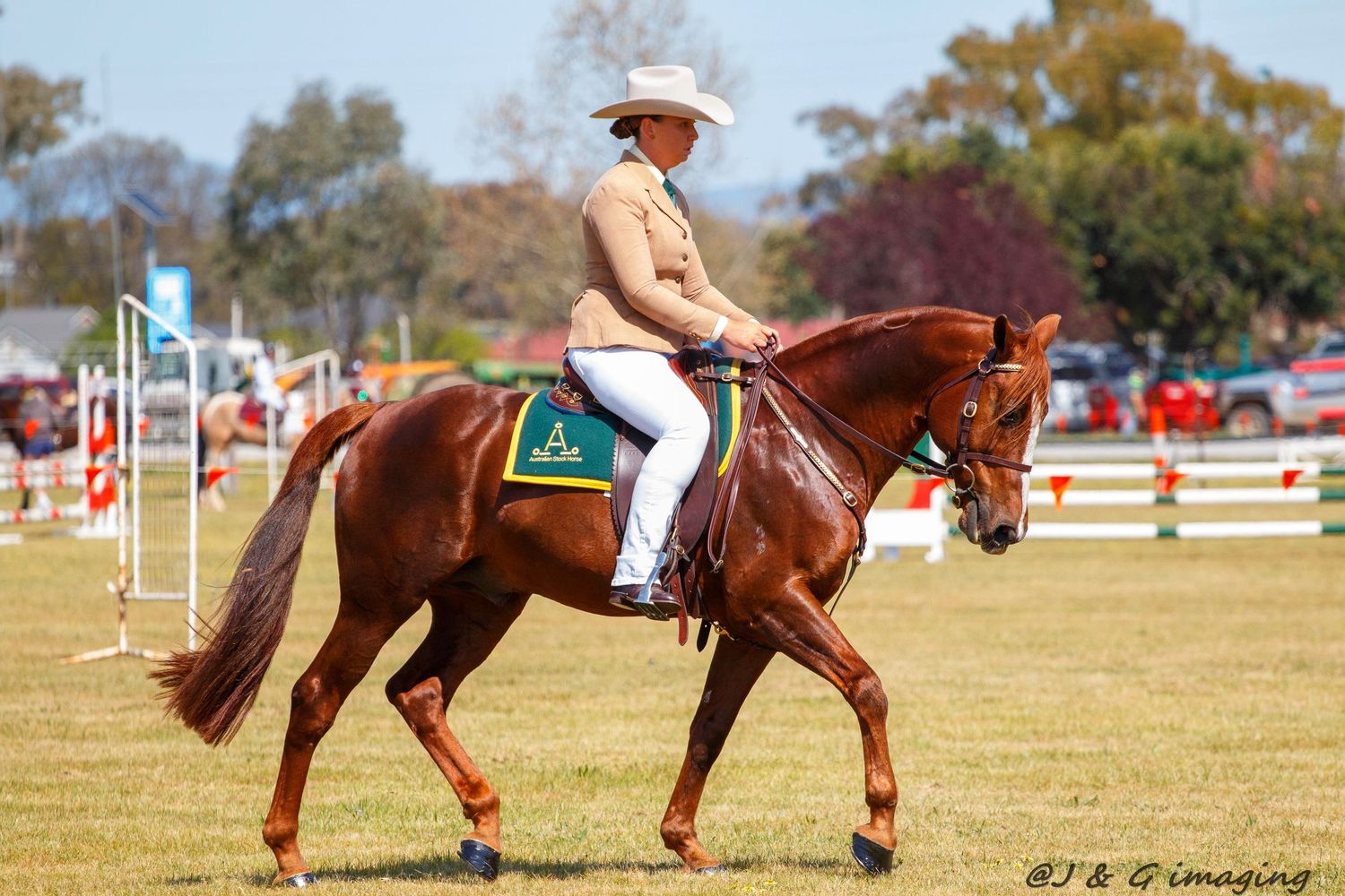 Brown horses and riders perform in sequence across a grassy field at an equestrian event.