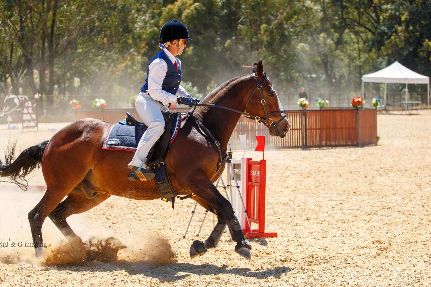 Dynamic sequence of horse and rider navigating jumps in sandy arena with dust clouds.