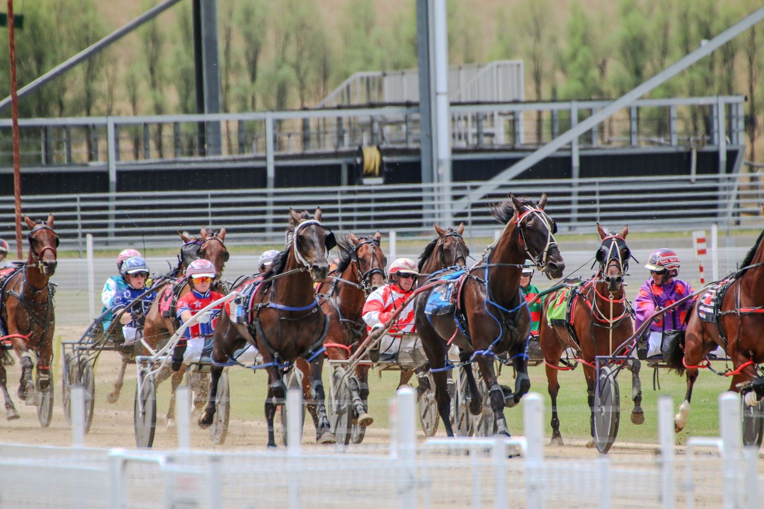 Harness racing horses competing on a track with spectator stands visible in the background.