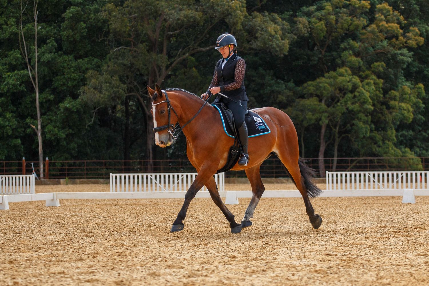 Equestrian show jumping sequence showing horse and rider clearing obstacles in an outdoor arena.