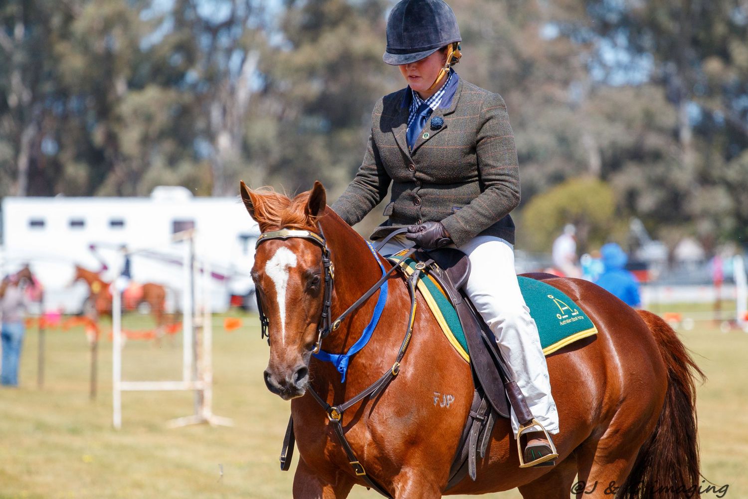 Riders guide their horses during a competitive equestrian show on a sunny day.