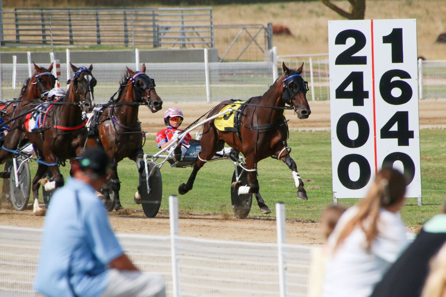 Harness racing horses and drivers compete on track with numbered markers visible.
