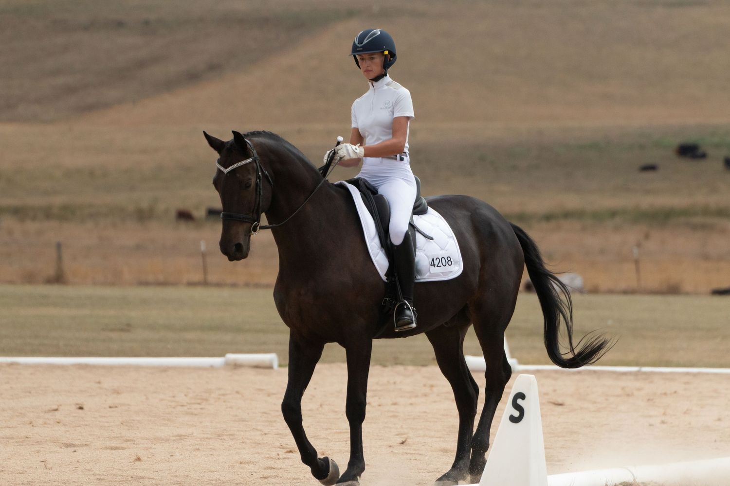Riders practice dressage exercises with their horses in an outdoor ring.