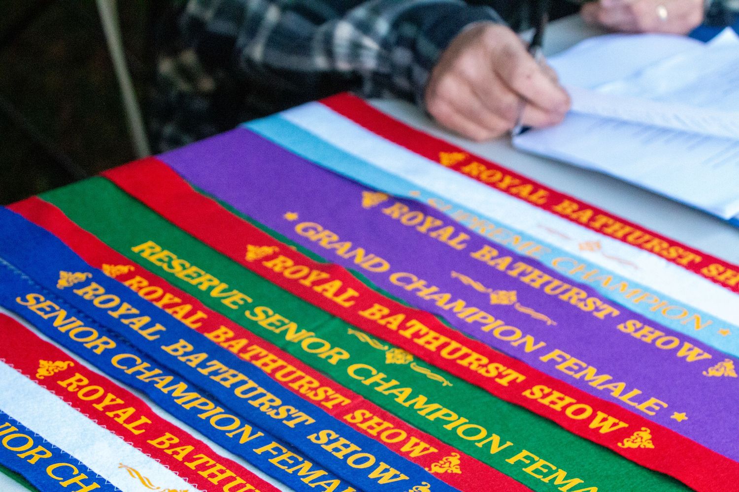 Colourful stack of ribbons at  Bathurst show