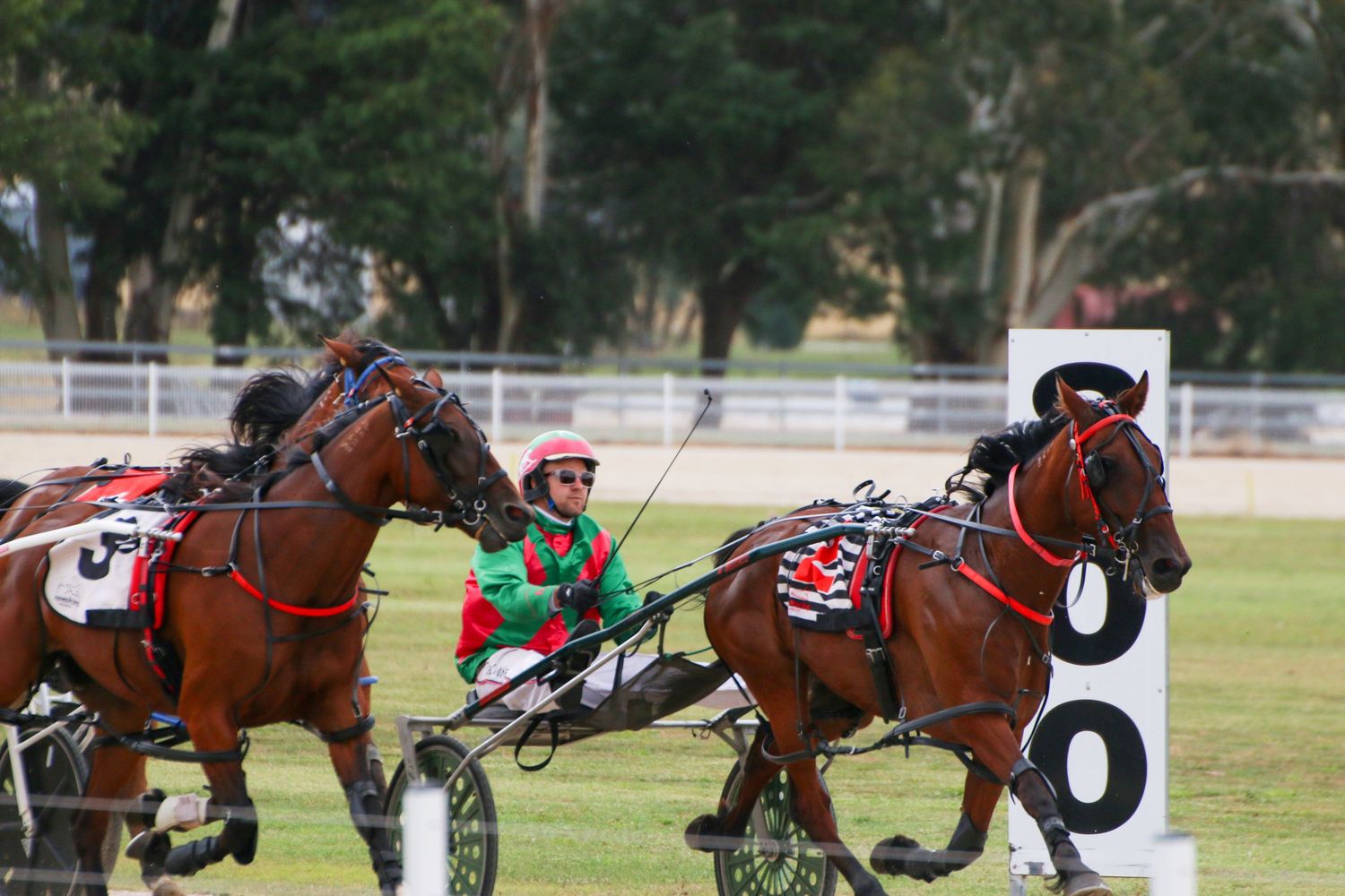 Harness racing horses compete on a dirt track with trees in the background.