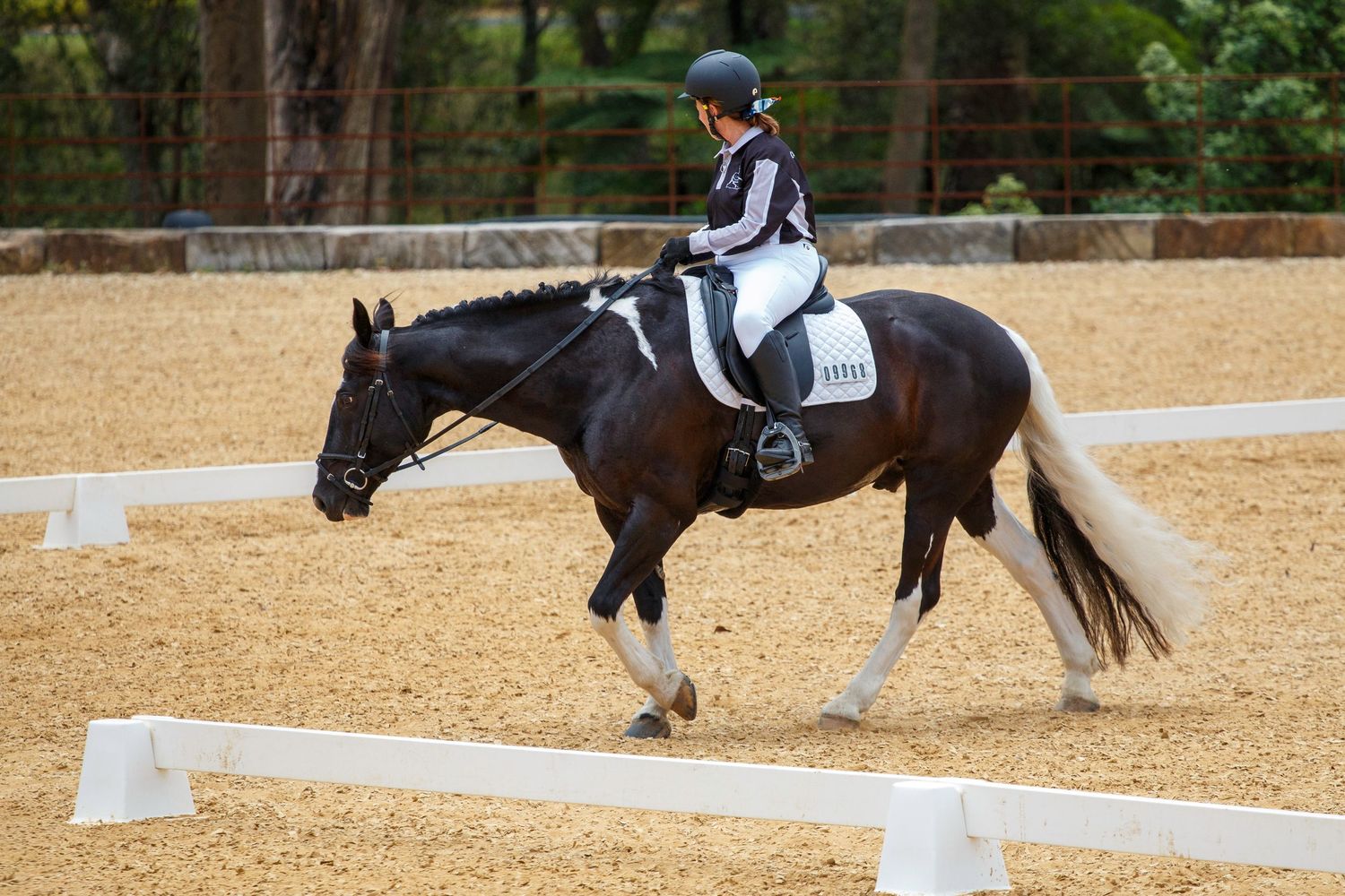Horses and riders practice dressage movements in an outdoor arena.