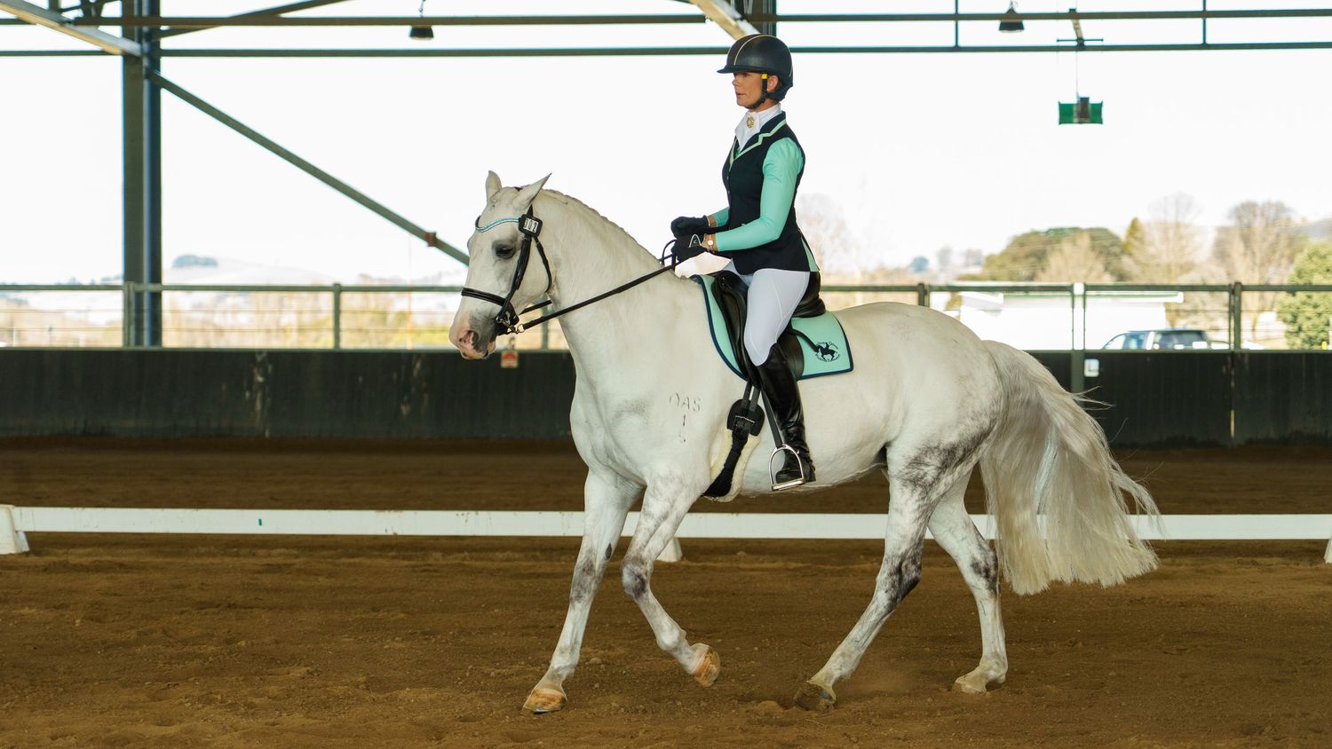 Equestrians guide their horses through training exercises in a covered riding facility.