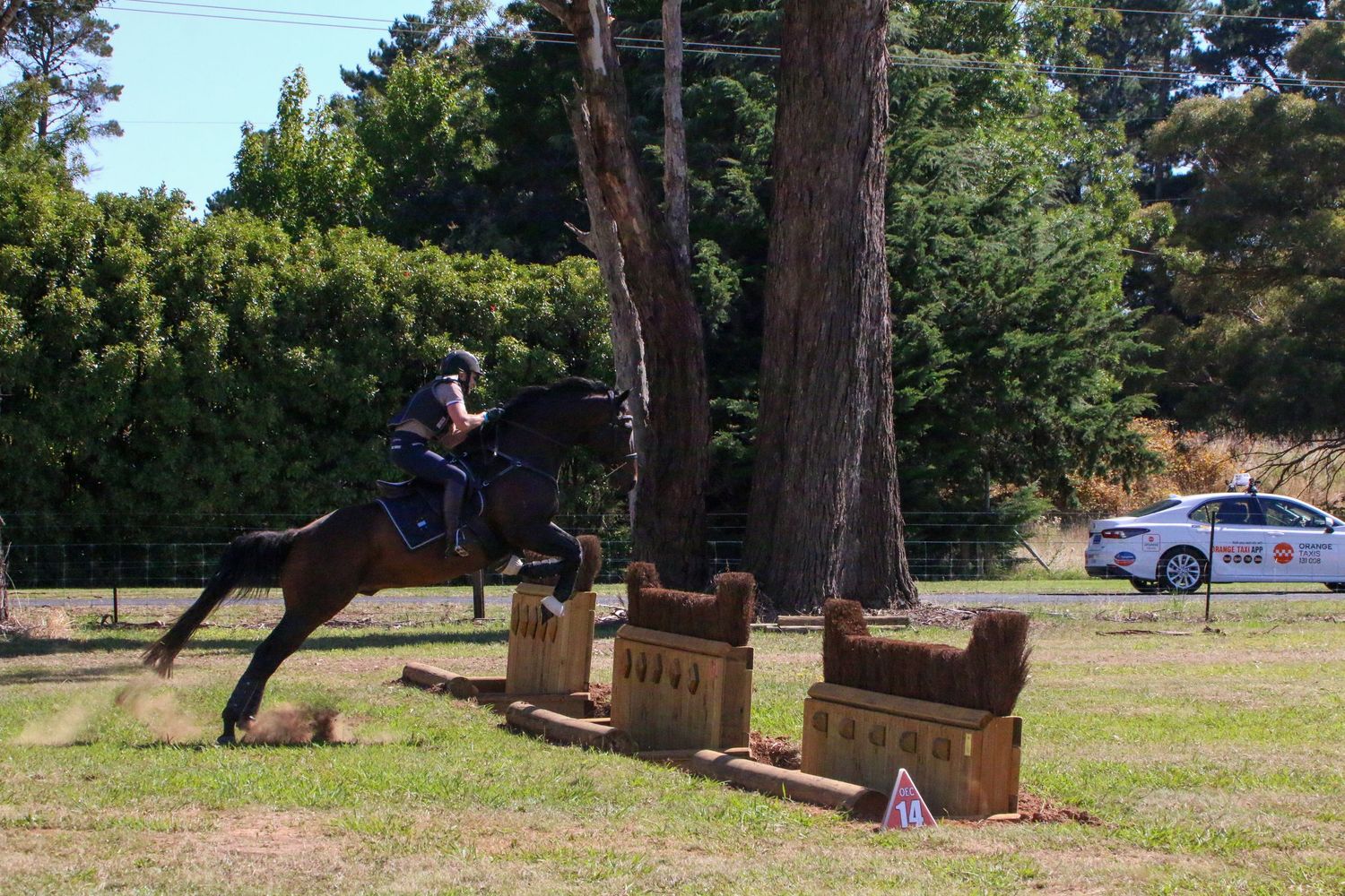 Horse and rider jumping over wooden obstacles during an equestrian competition with trees in background.